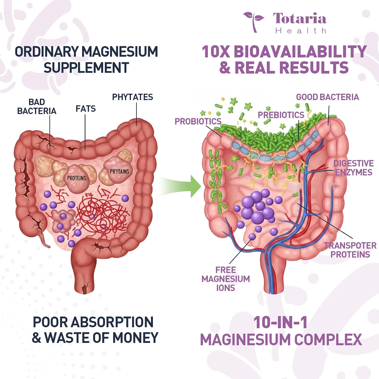 10-in-1 Magnesium Complex Supplement with Probiotics Prebiotics & Digestive Enzymes, 100 Billion CFU Probiotics for Women, High Absorption for Muscle, Sleep Calm, Gut & Digestive Health, Vegan Non-GMO