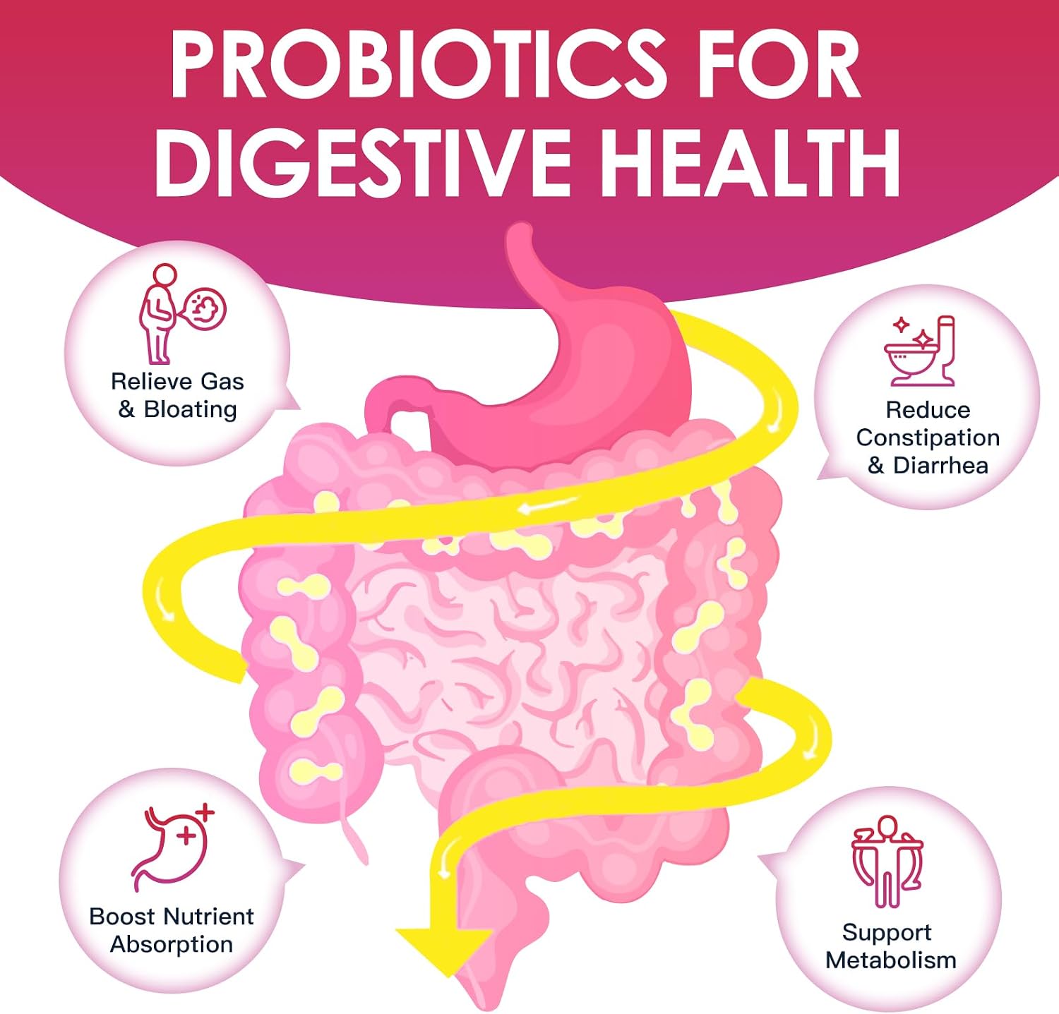 DRFOSTER Probiotic for Women 120B Urinary & Digestive Health, 90 Capsules | 31 Strains, Prebiotics, Enzymes, D-Mannose & Cranberry, Vaginal, Urinary & Digestive Support, Non-GMO, Gluten-Free