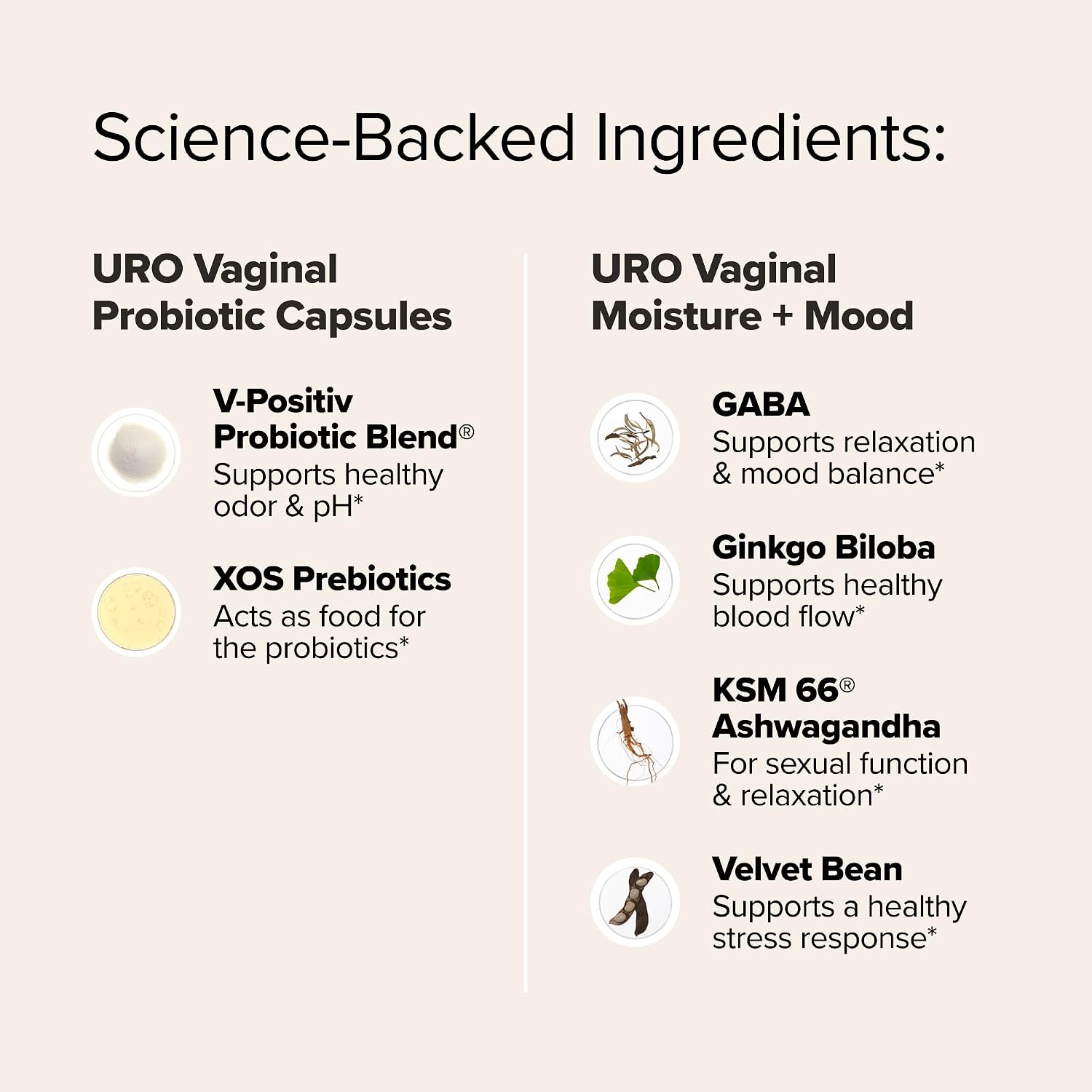 O Positiv URO Wet & Wild Bundle – Vaginal Probiotic & Moisture + Mood