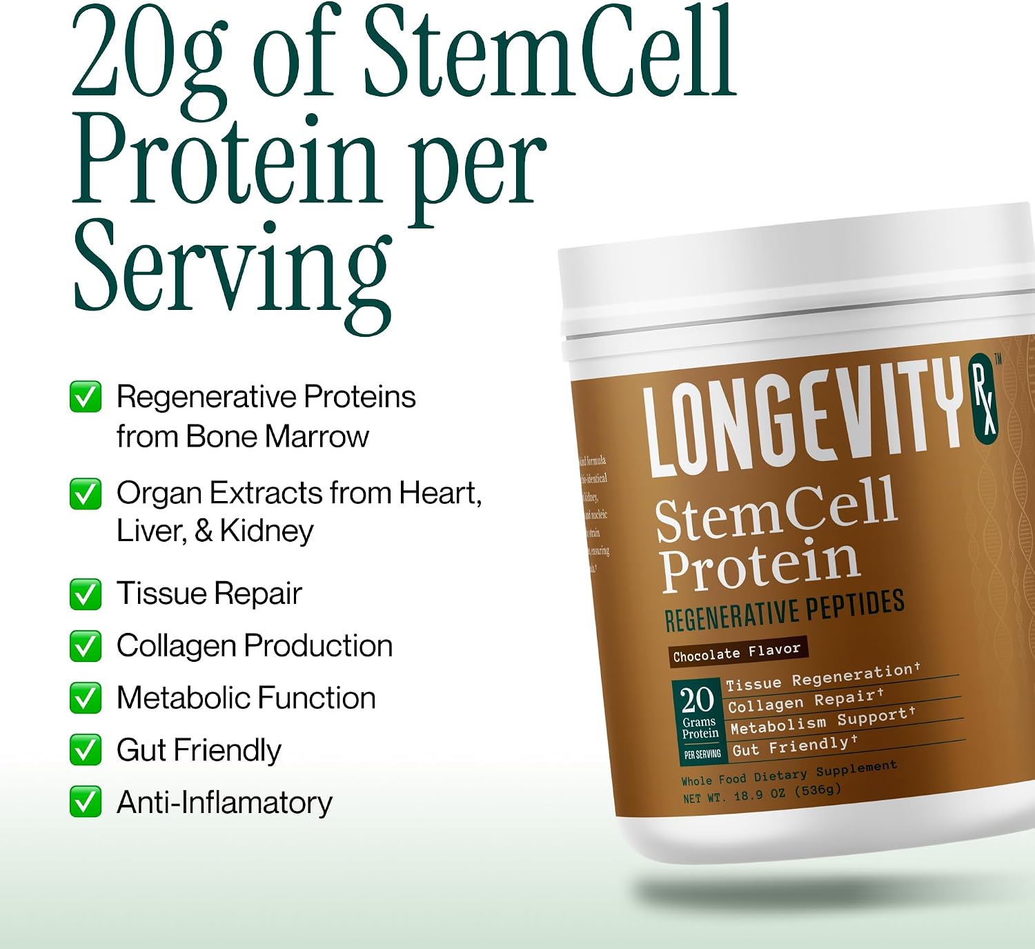 Stem Cell Protein Powder Chocolate – Bone Marrow & Bone Broth Protein, Bacillus Subtilis AB-22, Natural Peptides – Cellular Recovery – 30 Servings