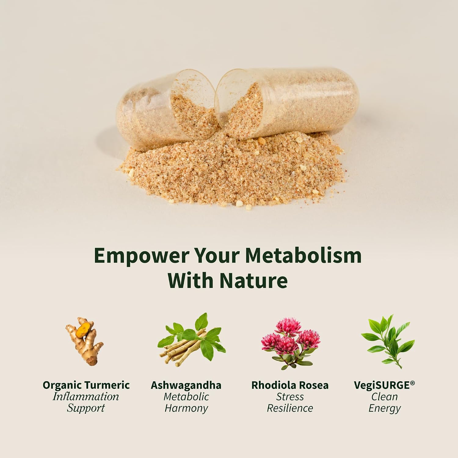 Snap Supplements Energy & Metabolism Adaptogenic Herbal Complex, 60 Count | Ginger, Turmeric, Rhodiola Rosea, Vitamin B12, Support Metabolism, Natural Energy, 30-Day Supply, Vegan, Gluten-Free, Non-GMO