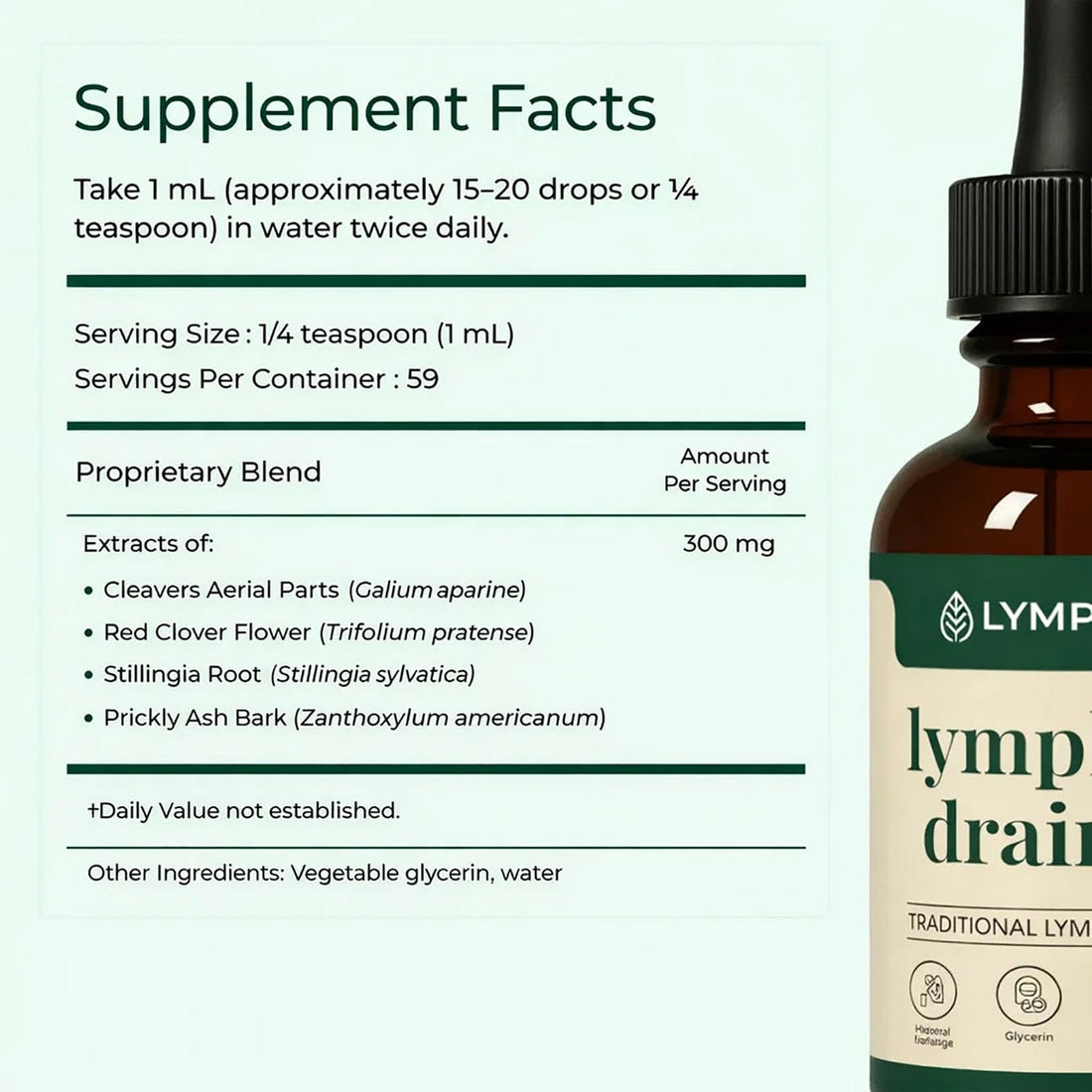 BUN BONS Lymphoria Lymphatic Drainage Wellness Drops, Natural Herbal Blend for Lymphatic System Support, Vegan & Non-GMO, 1 Fl Oz (1) (1) BUN BONS buy supplements Au