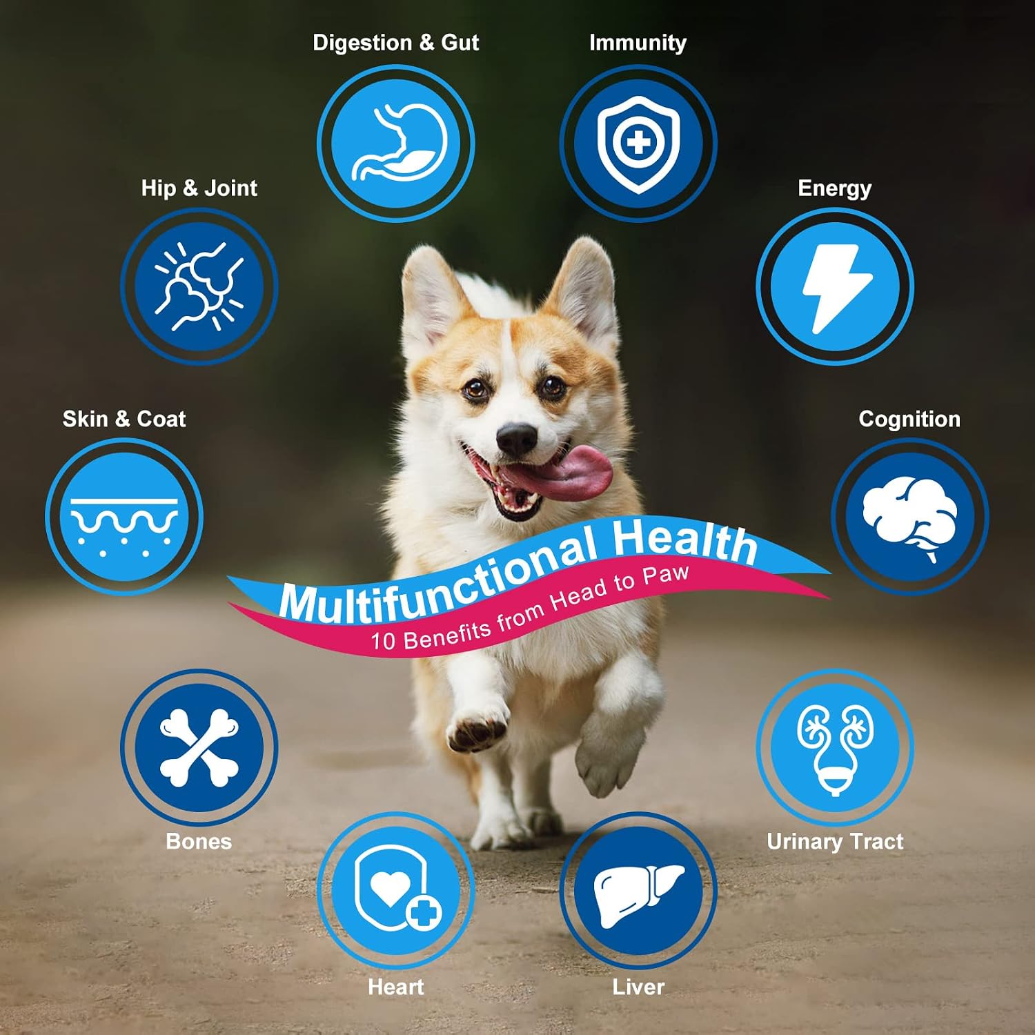 NATURE TARGET Dog Vitamins Powder, Probiotics & Digestive Enzymes for Gut Health, Glucosamine & Chondroitin & Omega 3, Complete Supplement for Homemade Dog Food, Joint & Skin & Immune Support | Probiotics & Digestive Enzymes for Gut Health, Glucosamine &