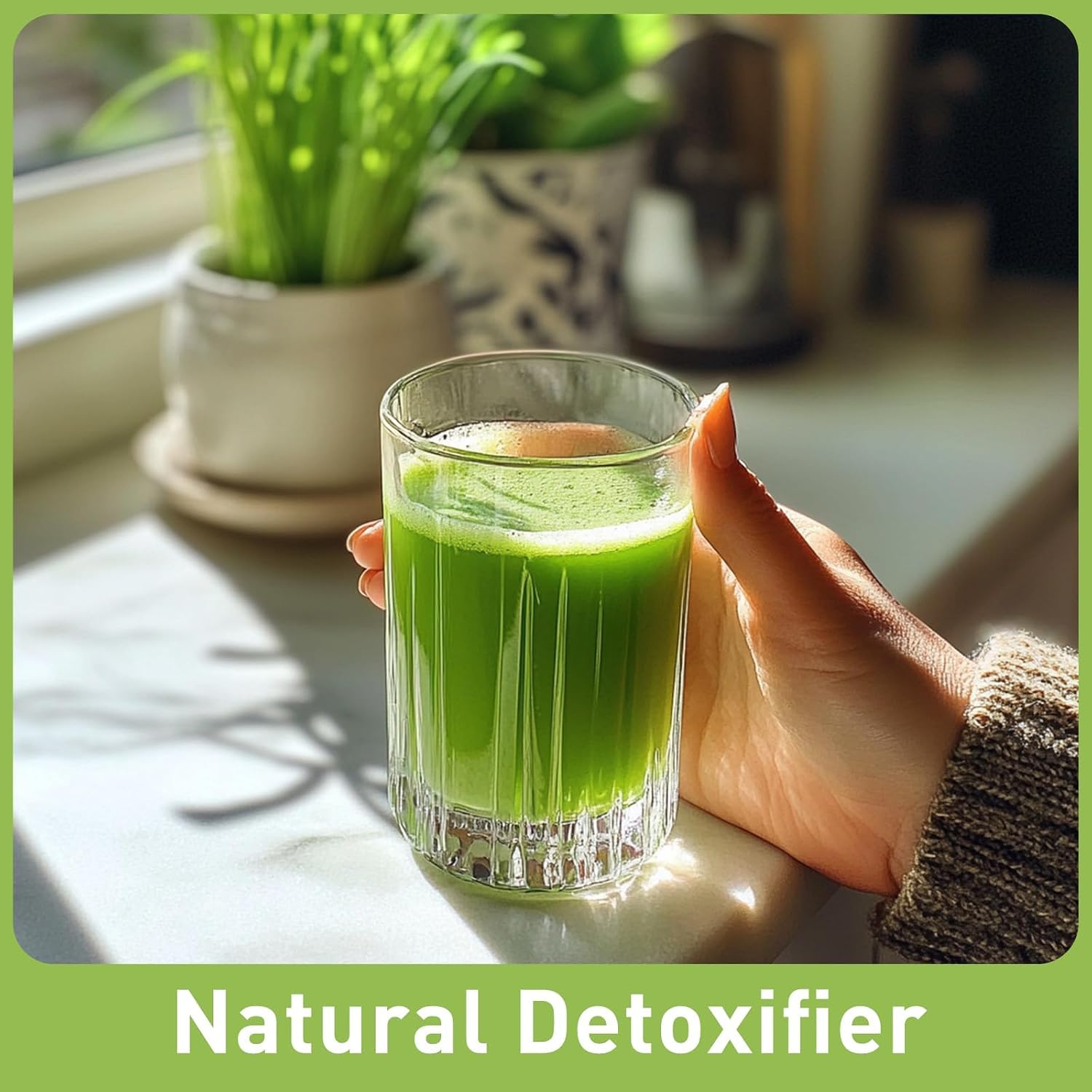UNLEASH'D ORGANIC Organic Wheatgrass Juice Powder 16oz – 100% Pure Superfood, Immune & Energy Boost, Detox Support