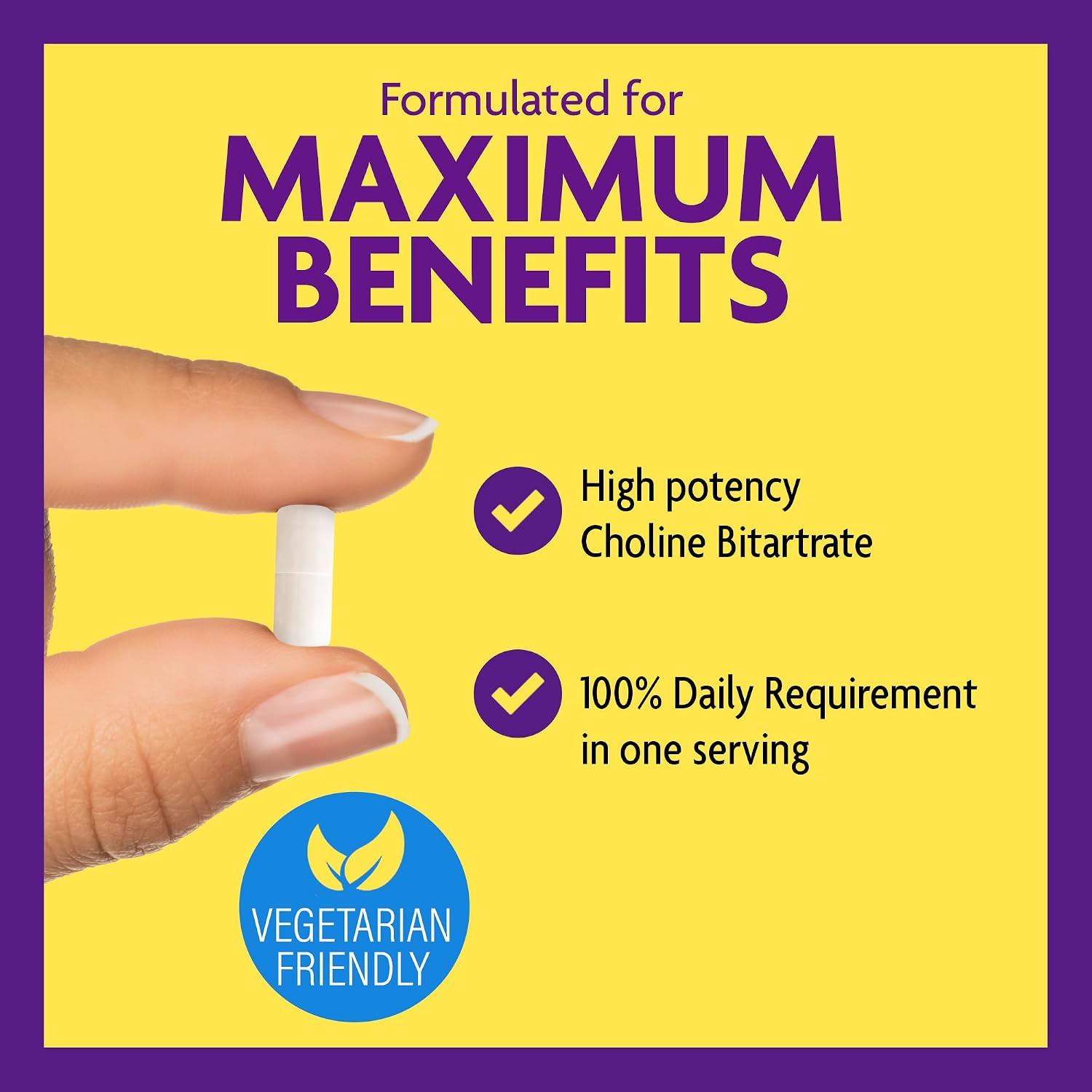 InnovixLabs Choline & Mood Probiotic Bundle Choline Bitartrate 550mg (100 Capsules) Mood Probiotic (60 Capsules). Supports Memory, Mood, Brain Health & Boost Cognitive.*