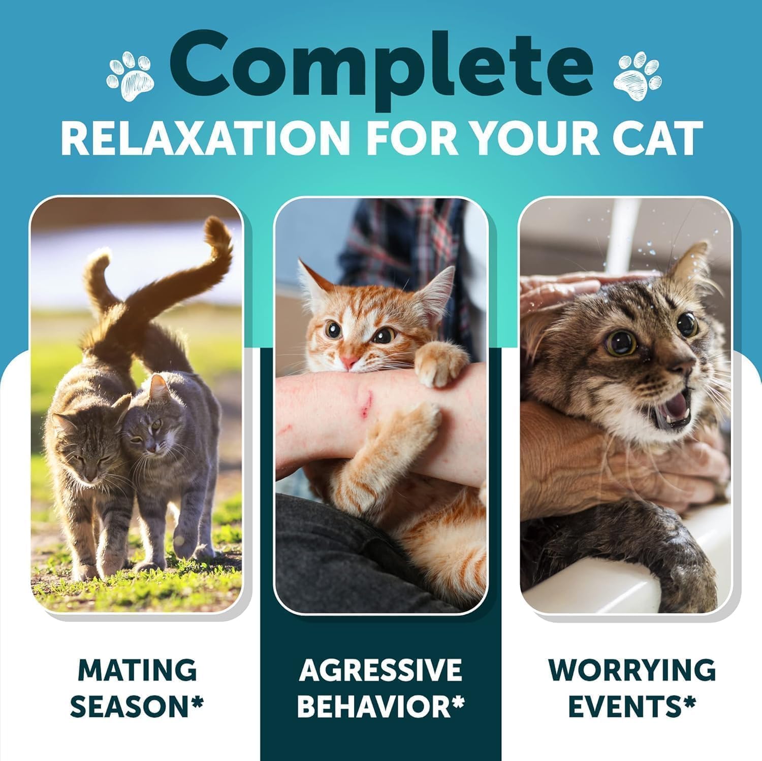 L-Lysine for Cats - Lysine Powder Supplement - 900mg/serving - Immune Support for Cats & Kittens - Sneezing, Runny Nose, Squinting, Watery Eyes, Cold, Eye Function, Respiratory Health - with Taurine