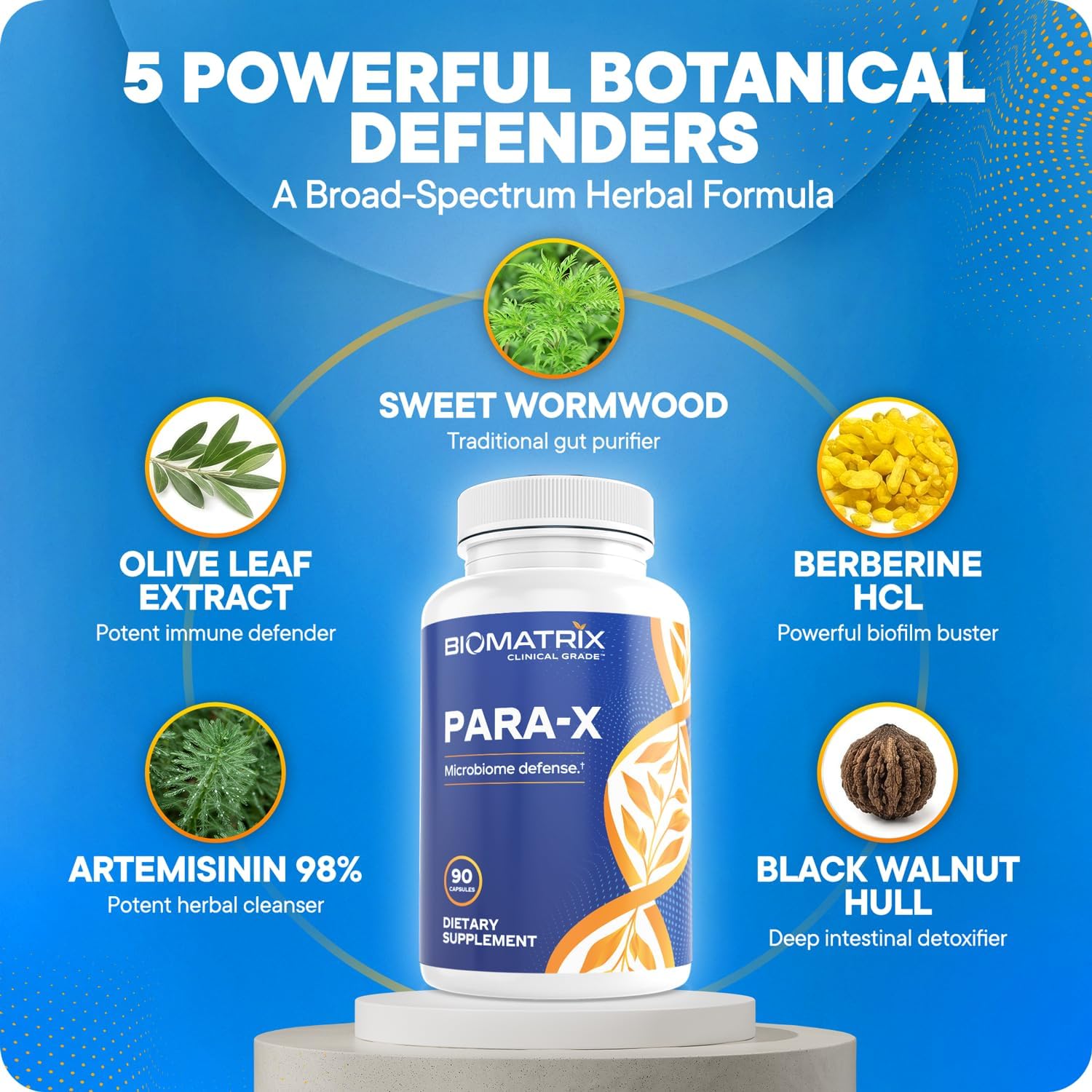 para-X para Cleanse Digestive Support Capsules – Black Walnut Hull, Wormwood, Artemisinin, Berberine, Olive Leaf | Herbal Formula for Adults | 90 Veggie Caps para-X