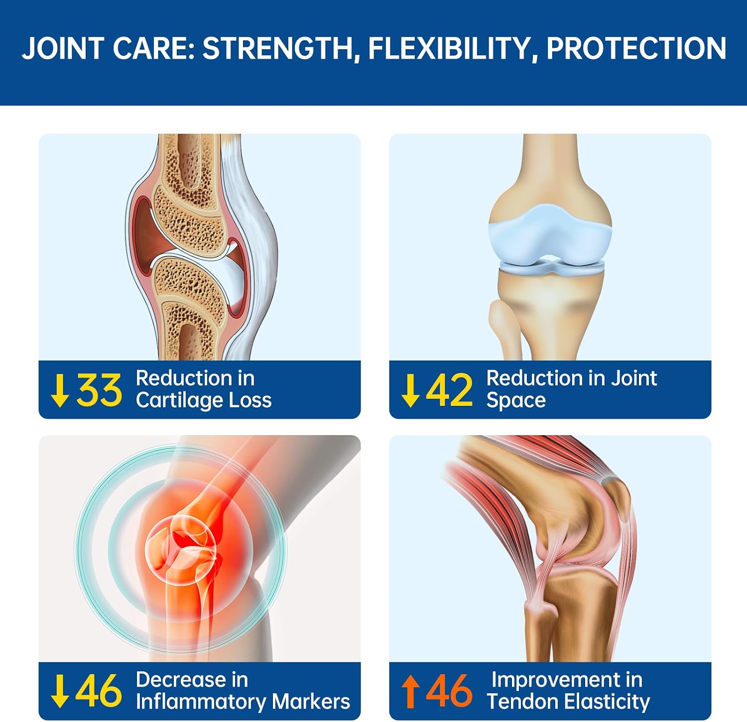 5-Day Fast-Acting Glucosamine Chondroitin MSM for Joint & Cartilage Health | Lower Purine Risk, 200mg OVOMET Eggshell Membrane, 80% Less Marine Glucosamine, Regulated by German Pharmacies, Traceable PZN