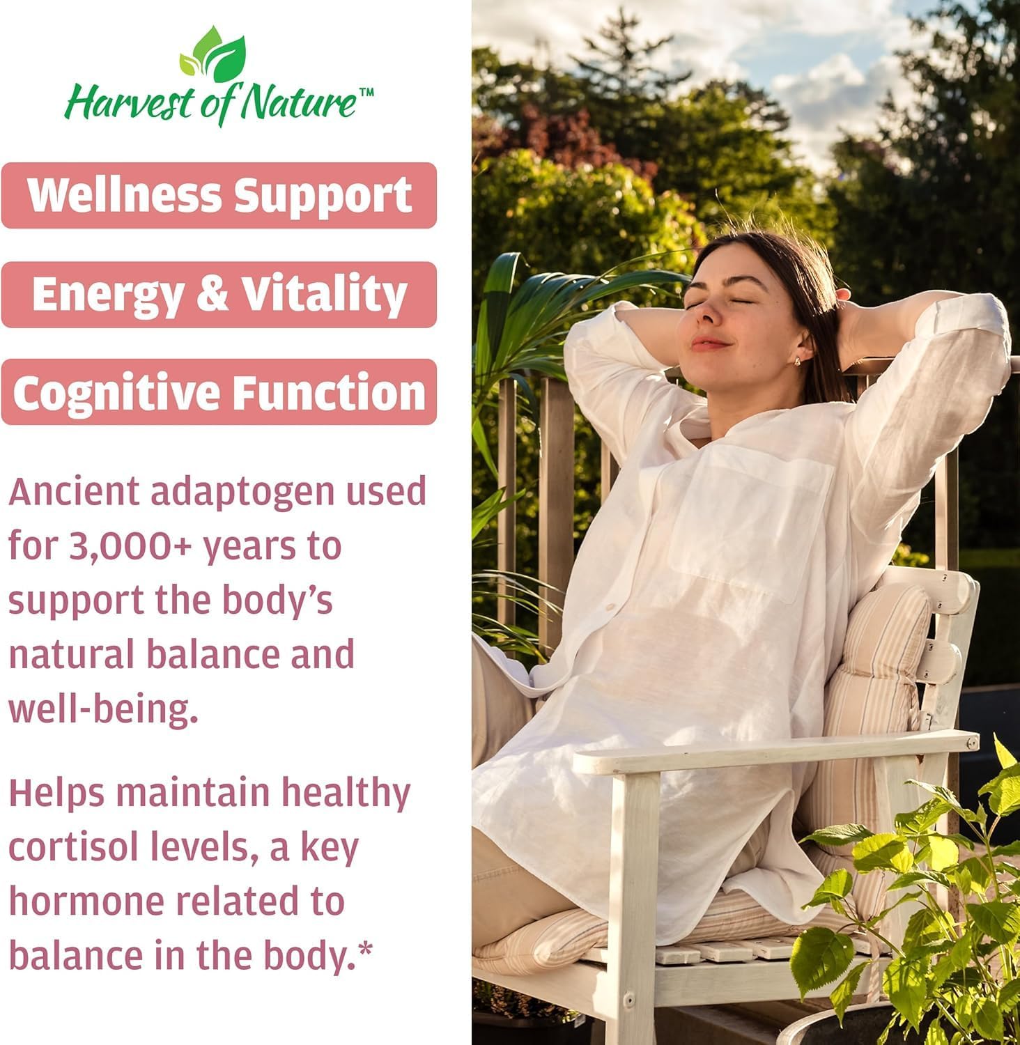 Harvest of Nature Ashwagandha & Black Pepper, 60 Capsules 1 Pack | Ashwagandha Root and Black Pepper Fruit for energy management and stress support
