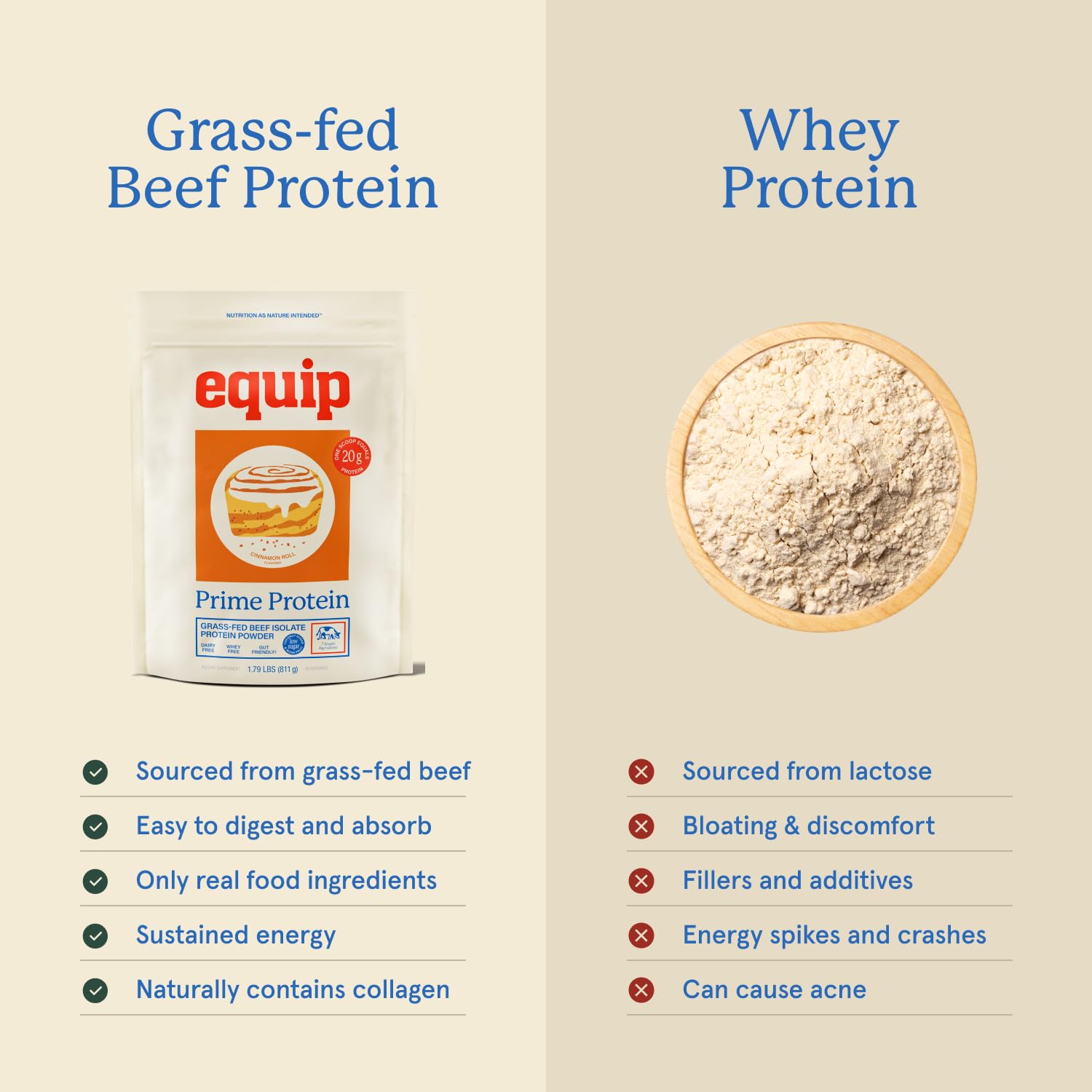 Equip Prime Chocolate Protein Powder - Gut-Friendly, No Sugar Protein Shake Powder with Grass-Fed Beef & Natural Collagen - Rich & Creamy Mix - 21g Per Serving - Whey & Dairy-Free (30 Scoops)