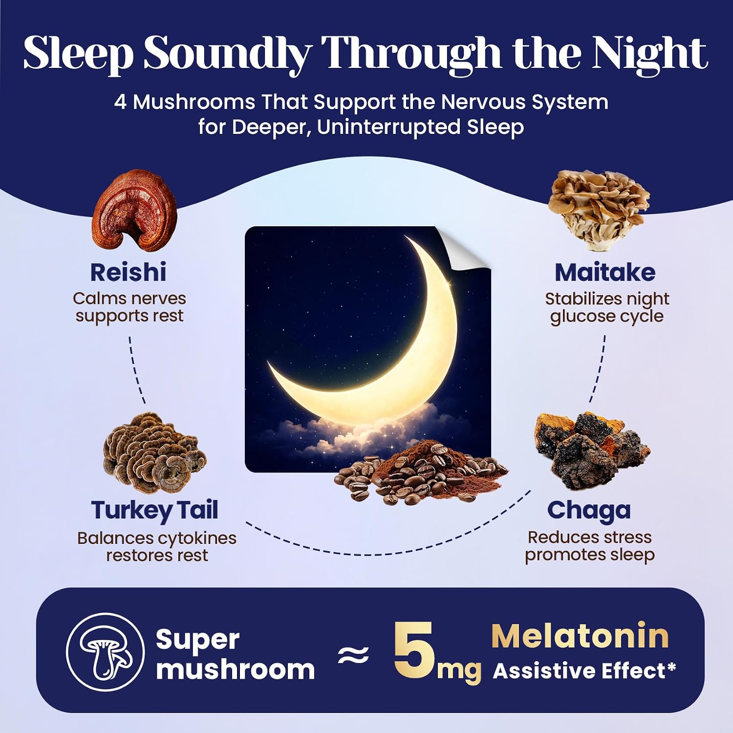 Mushroom Hot Cocoa Powder Natural Sleep Aid with 12 Superfoods, 30 Servings | Magnesium Glycinate, Melatonin 3mg, L-Theanine, Glycine, Lion's Mane, Reishi & Turkey Tail, Moon Bedtime Brew Hot Cocoa Mix