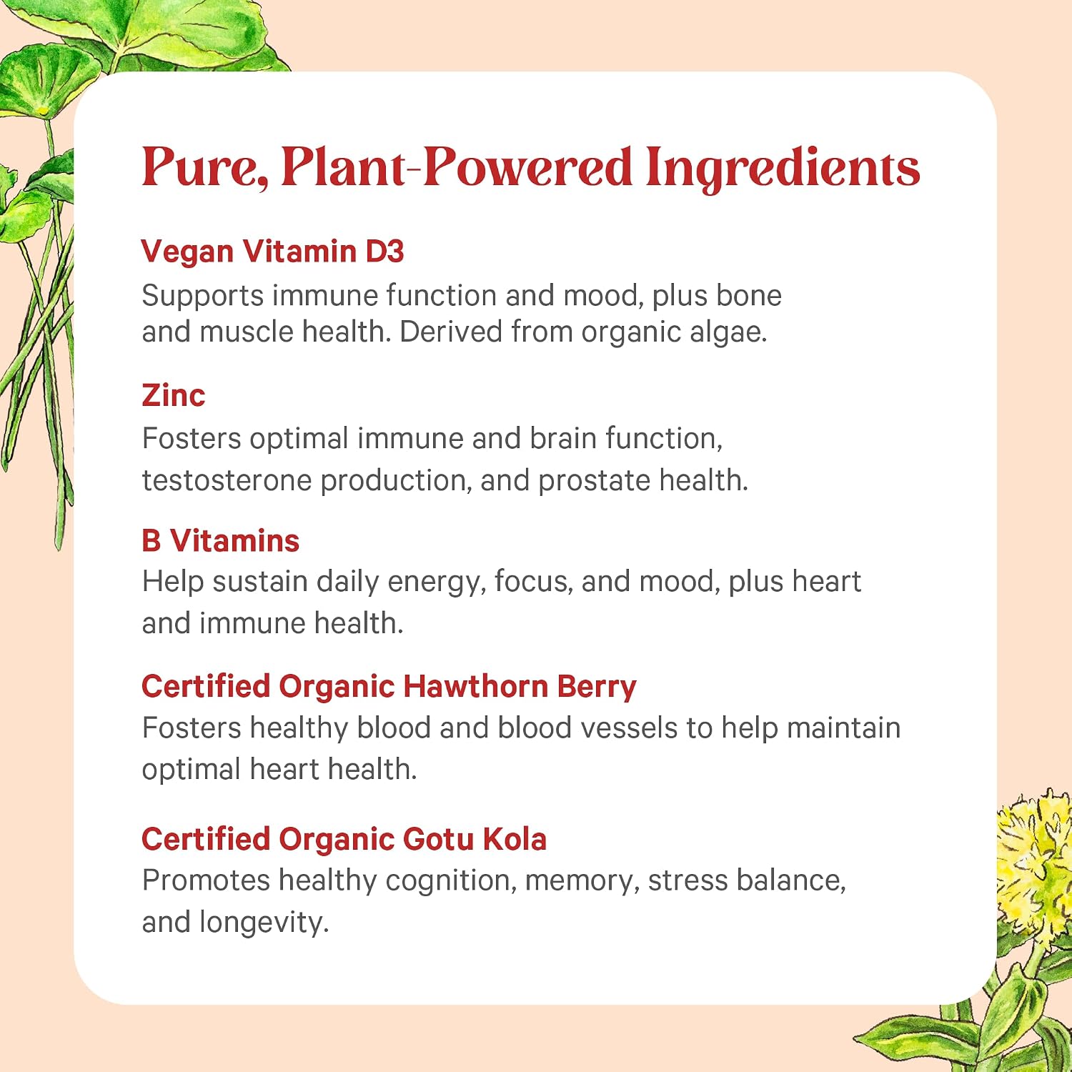 PURE SYNERGY Vita·Min·Herb for Men | Men’s Comprehensive Multivitamin Supplement | Made with Organic Whole Food Non-GMO Ingredients | Daily Energy & Immune Support (120 Tablets)