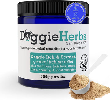 Natural Itch Relief & Allergy Support- TCM Herbal Powder for Hot Spots, Scratching & Yeast- Clears Damp Heat & Soothes Skin from Within- Human Grade, Doctor Formulated, 100% Natural