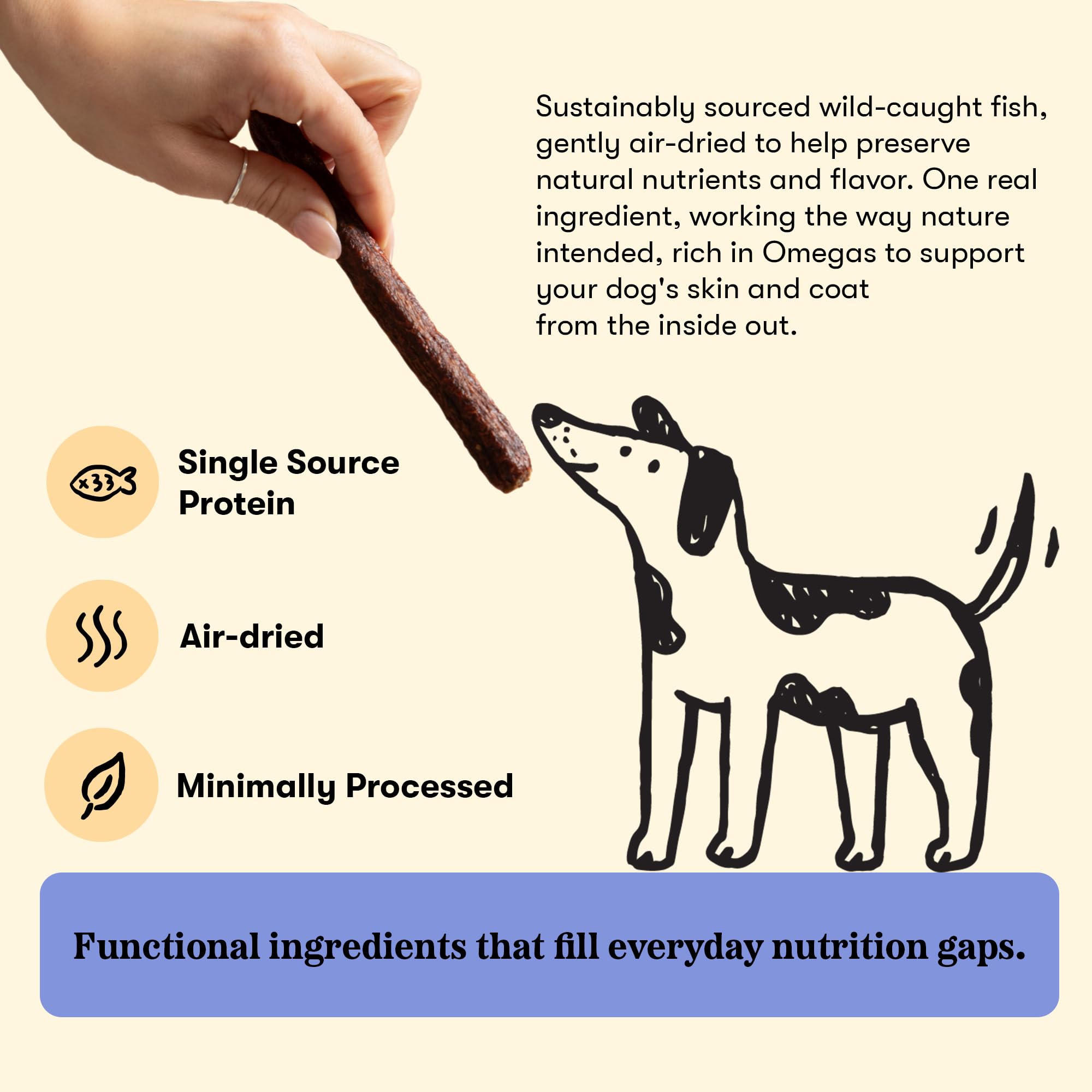 Plato Meat Sticks Salmon Dog Treats, Air-Dried High-Protein Soft Chews with Omega Fish Oil (EPA & DHA), 10 oz
