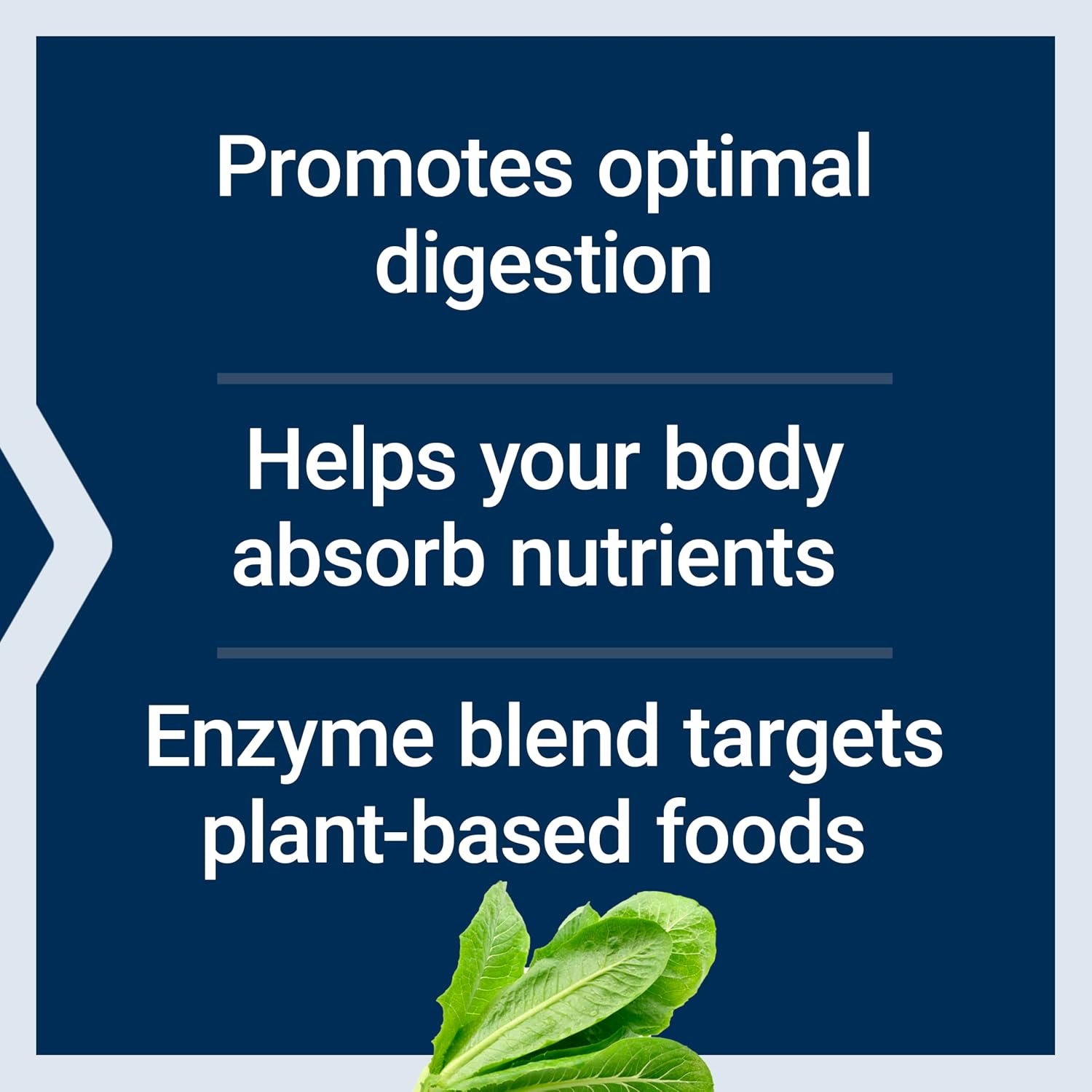 Life Extension Enhanced Super Digestive Enzymes and Probiotics, 60 Capsules | B. Coagulans Probiotic & Blend of 10 Digestive Enzymes, Supports Digestion, Comfort & GI Balance for Plant-Based Diets