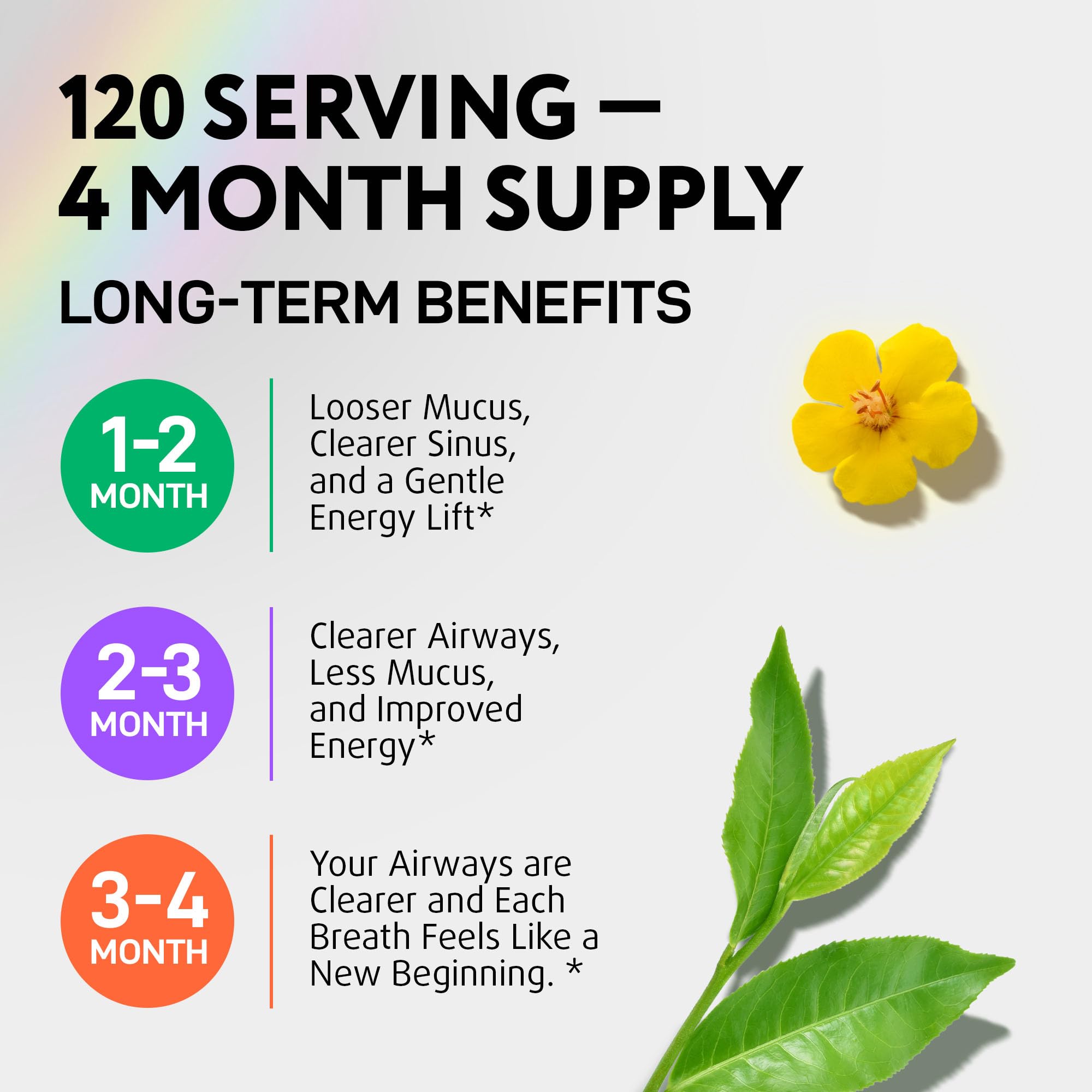 Mullein Drops for Lungs - USDA Organic Mullein Leaf Extract Supplement, 2oz | Supports Respiratory & Immune Health, Mucus Comfort*