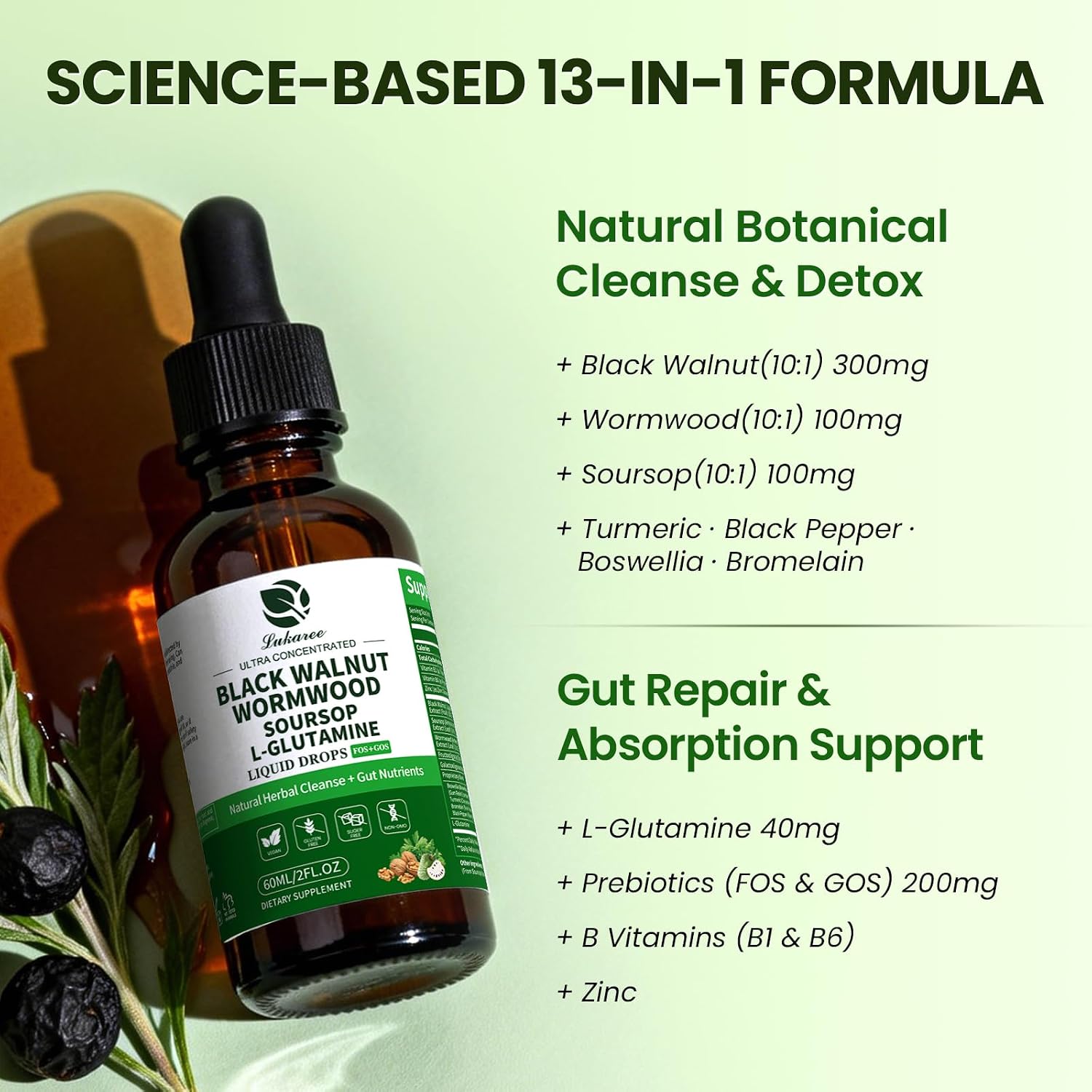 2 Pack Wormwood Black Walnut Drops- Gut Support with L-Glutamine | Gentle Intestinal Cleanse & Digestive Health – with Prebiotics & Zinc for Mood Immune & Energy – Vegan Gluten-Free