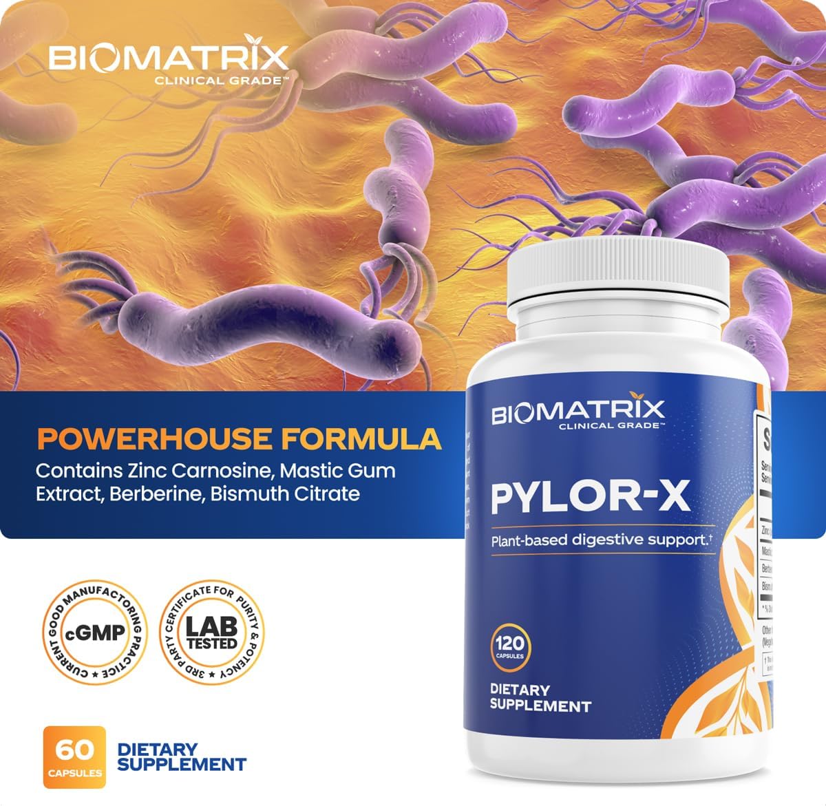 BioMatrix H Pylori Supplement, Mastic Gum, Berberine, Zinc Carnosine & Bismuth Salts, Probiotic Alternative, Gut Formula, 120 Capsules, 30-60 Day Supply