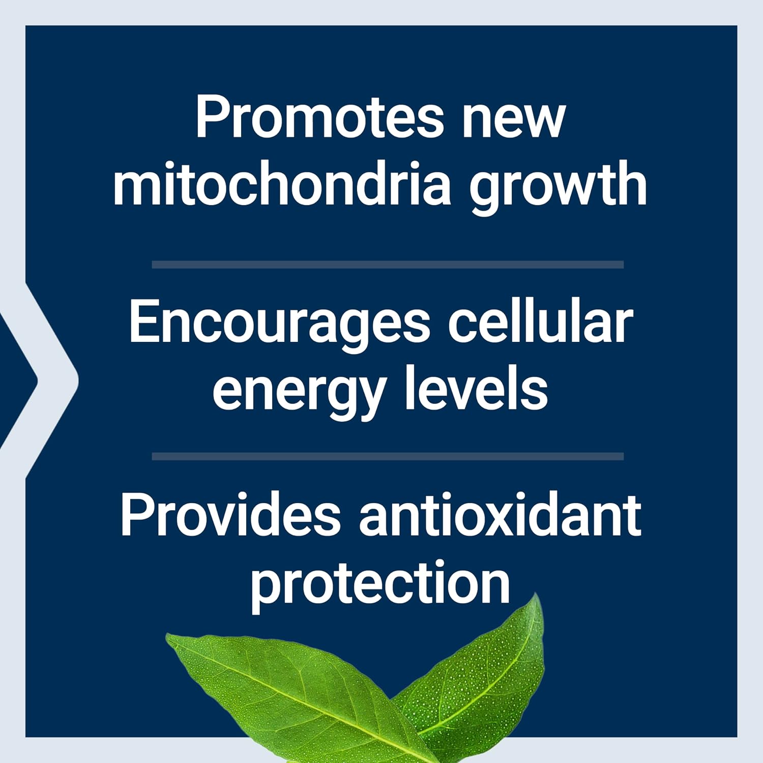 Life Extension PQQ, pyrroloquinoline Quinone, 20 mg, Promotes The Growth of New Mitochondria, Gluten-Free, Non-GMO, Vegetarian, 1 Daily, 30 Capsules | Pyrroloquinoline Quinone Promotes Cellular Energy & Mitochondrial Health, Take 1 Daily, Gluten-Free, Non