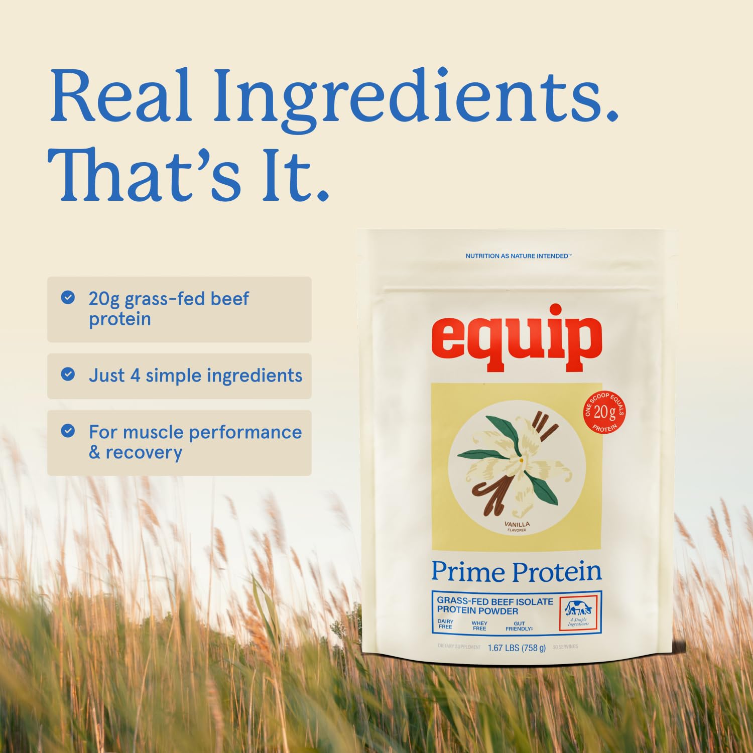 Equip Prime Chocolate Protein Powder - Gut-Friendly, No Sugar Protein Shake Powder with Grass-Fed Beef & Natural Collagen - Rich & Creamy Mix - 21g Per Serving - Whey & Dairy-Free (30 Scoops)