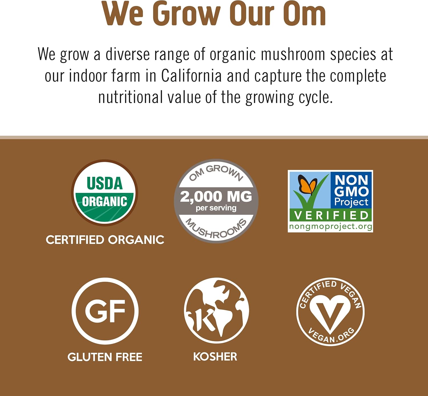 OM MUSHROOM SUPERFOOD Coffee Latte Blend – Functional Mushroom Powder with Lion’s Mane & Cordyceps – Energy, Focus & Mental Clarity Support – 8.47 oz Canister (30 Servings)
