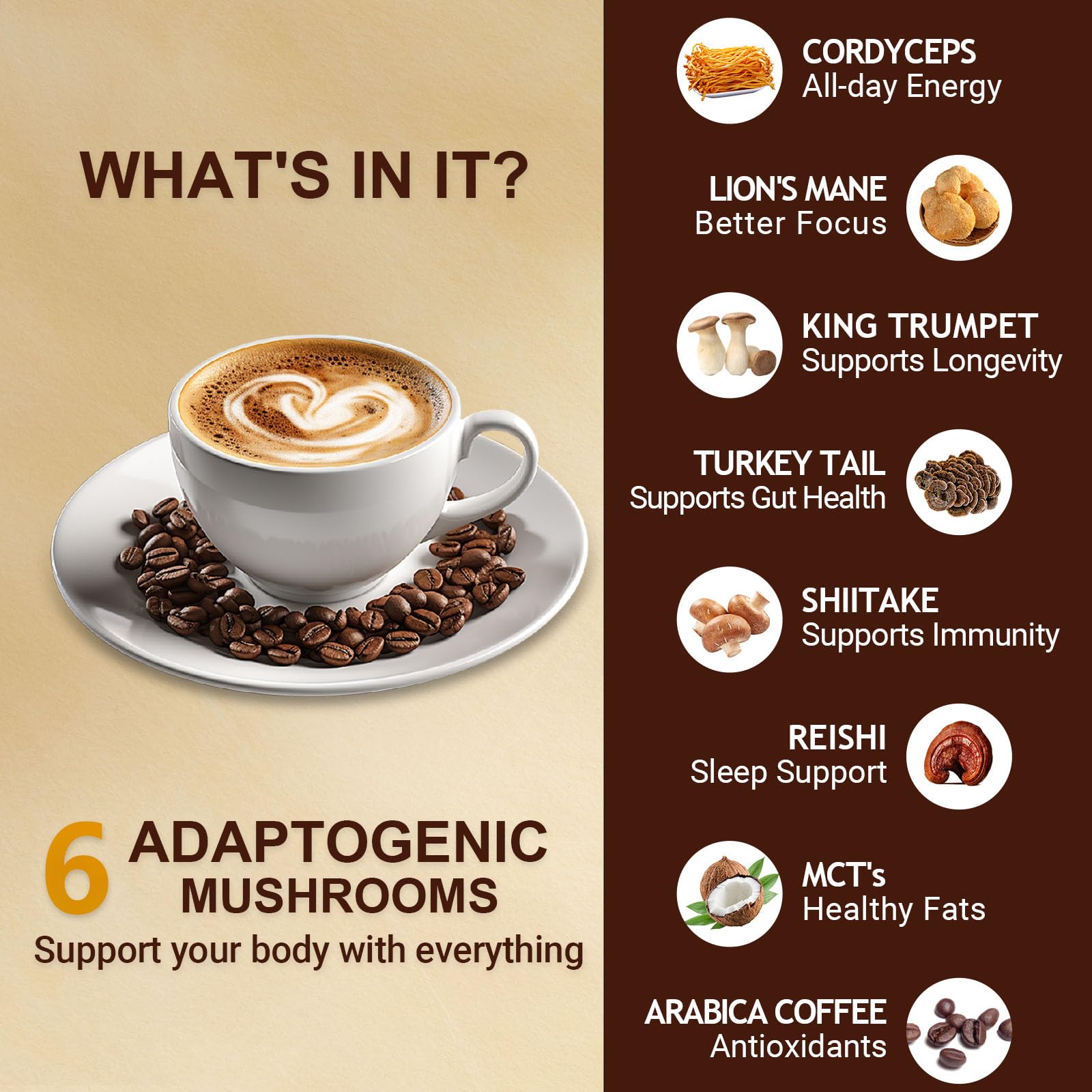 Mushroom Coffee, Instant Mushroom Coffee Organic with 6 Mushrooms Lion’s Mane, Cordyceps, Turkey Tail & Other for Energy, Focus, Digestion, Immunity, 35 Servings