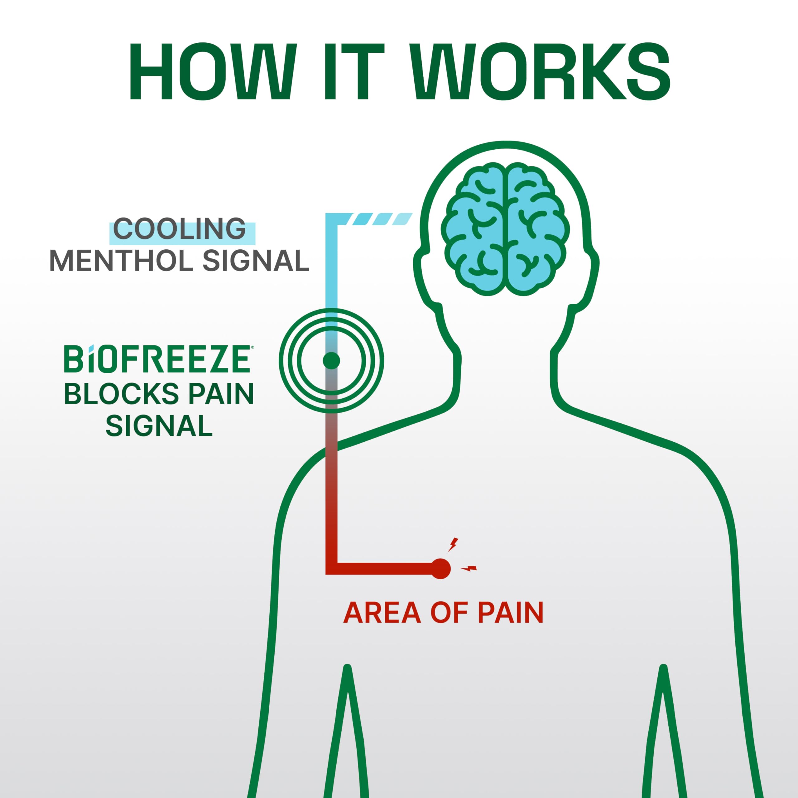 Biofreeze Professional Colorless Pain Relief Roll On, Knee & Simple Backache Relief, Arthritis Pain Reliever, Neck Pain Relief, Cooling Joint Pain Relief, Roll-On Menthol Gel 3 Fl Oz BiofreezeBuy Supplements Australia