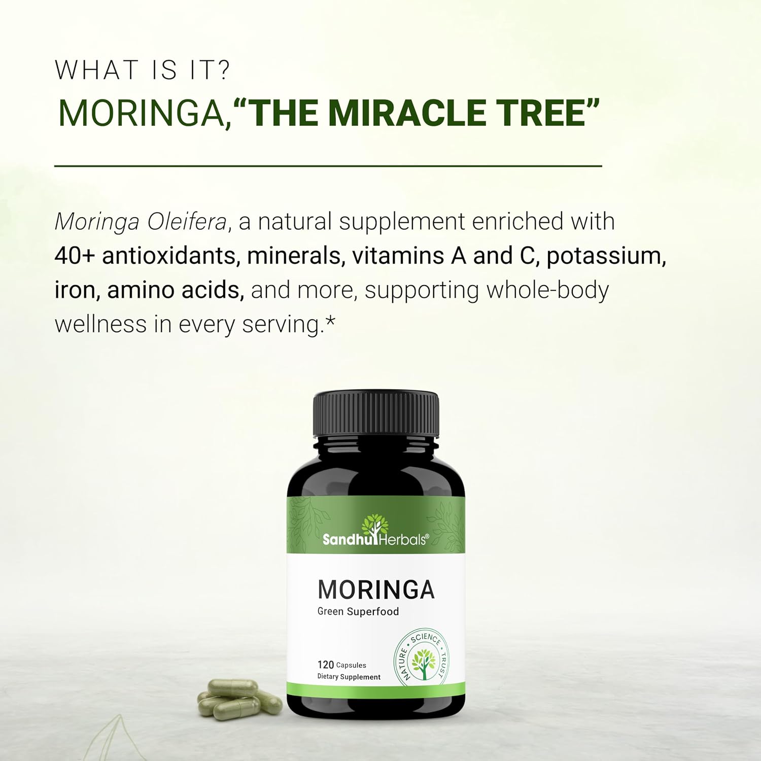 Pure Moringa Capsules for Women & Men | 120 Count Green Antioxidant Natural Superfood 900mg | Maringa Oleifera Supplement | Supports Immune, Skin & Gut Health | Made in USA