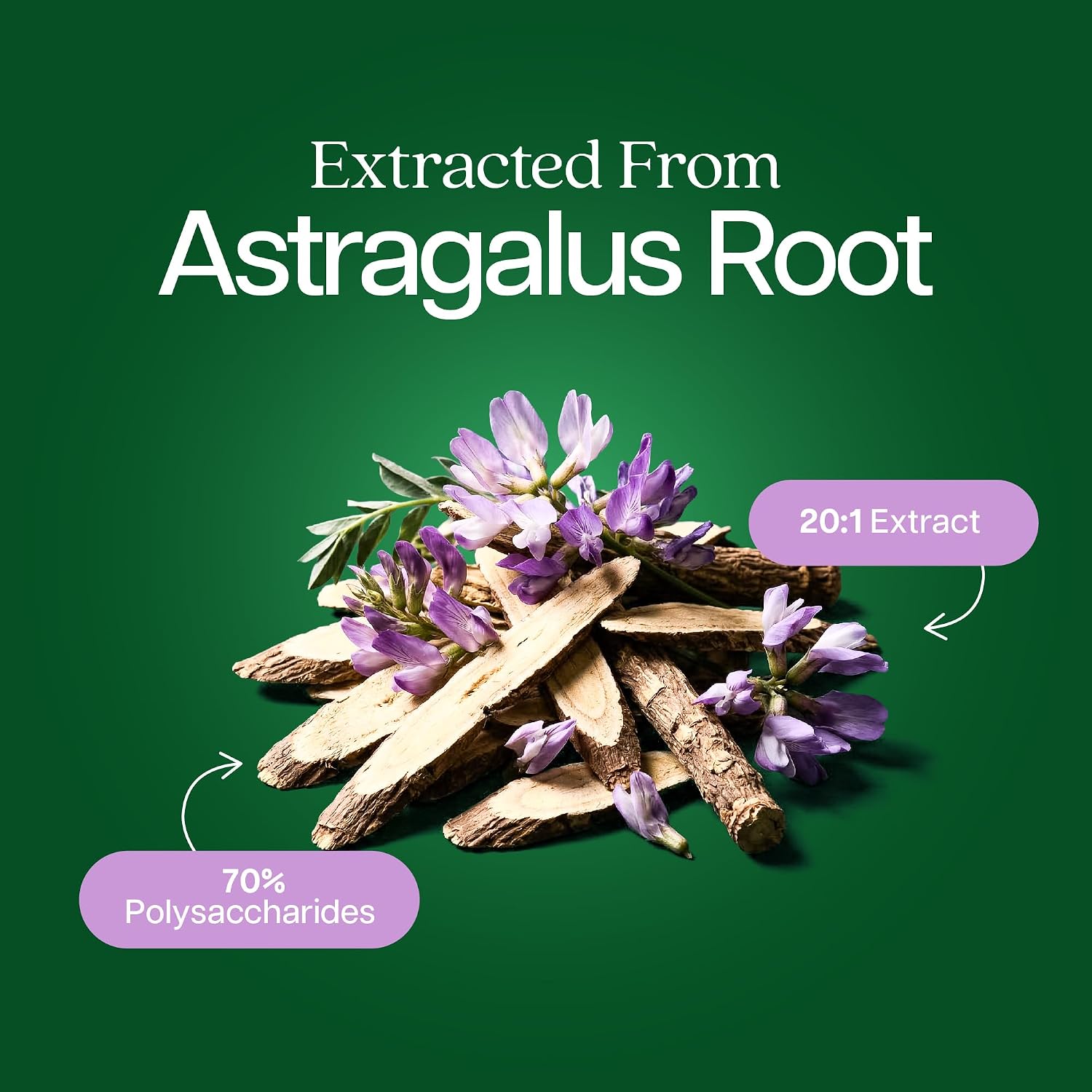 Astragalus Root, 8 Month Supply, Immune Support, 20:1 Astragalus Extract | 20:1 Astragalus Extract, 70% Polysaccharides, High-Concentration Adaptogen Support for Energy & Vitality, Vegan, 250 Capsules