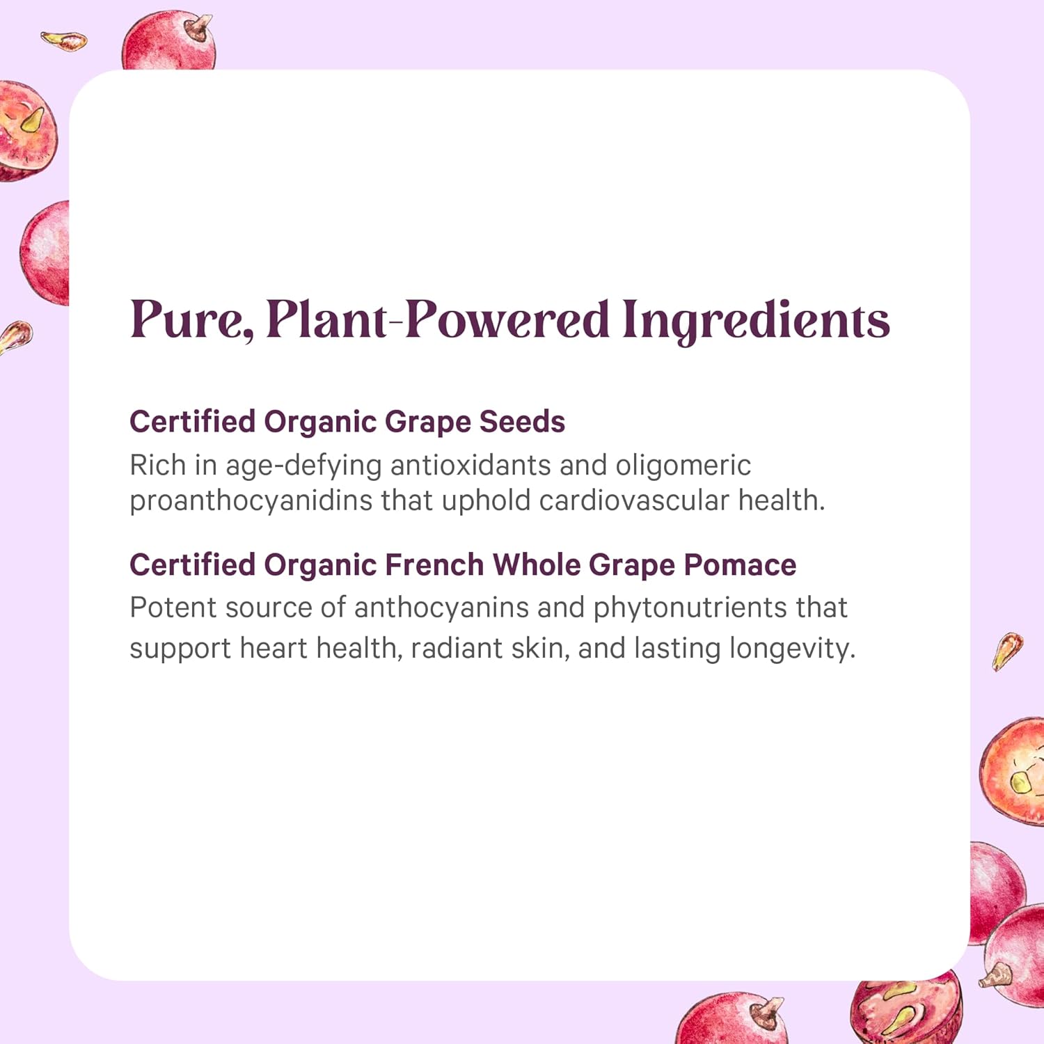 Pure Synergy SuperPure Grape Seed Extract | Organic Grape Seed Polyphenols Supplement with Whole Fruit | for Heart Health, Skin, and Healthy Aging Support (60 Capsules)