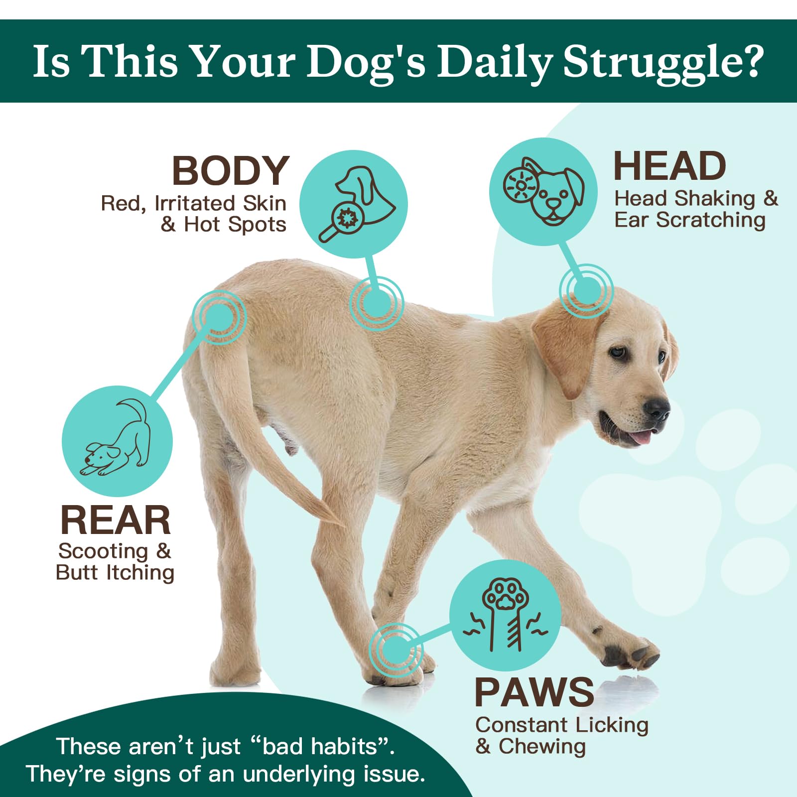 NATURE TARGET Dog Allergy Chews, Skin & Gut, Real Chicken, Freeze-Dried | Probiotics & Colostrum, Omega 3, Soothes Hot Spots, Stops Paw Licking, Digestive Health, Daily Immune Support, 120 Chews