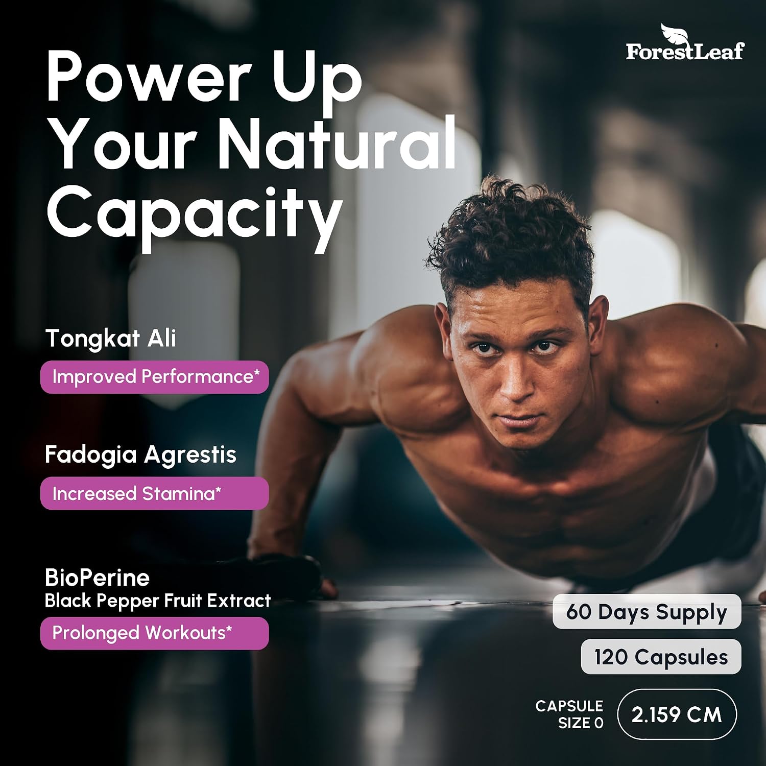 Tongkat Ali and Fadogia Agrestis for Men Supplement w/ BioPerine - Tonkat-Ali Max Strength 200:1 Extract - Long jack Tongkat-ali for Men - Muscle Growth, Performance & Energy - 120 Powder Capsules
