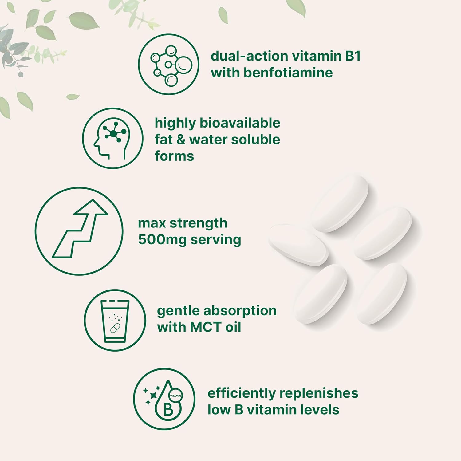Micro Ingredients Vitamin B1 Thiamine 500mg with Benfotiamine & MCT Oil, 240 Softgels | Highly Bioavailable Thiamine Supplement for Energy & Nervous System Support* | Non-GMO, Soy Free