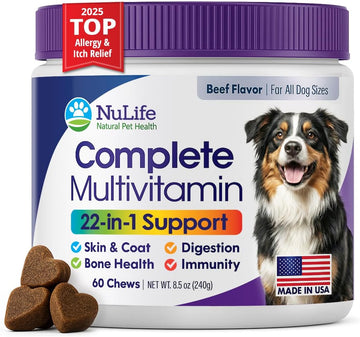Dog Multivitamin Chewable - 22 in 1 Dog Vitamins and Supplements with Green Lipped Mussel & Omega 3 for Joints, Skin & Coat, Immune System - Senior & Puppy Multivitamin for Dogs - 60 Beef Chews
