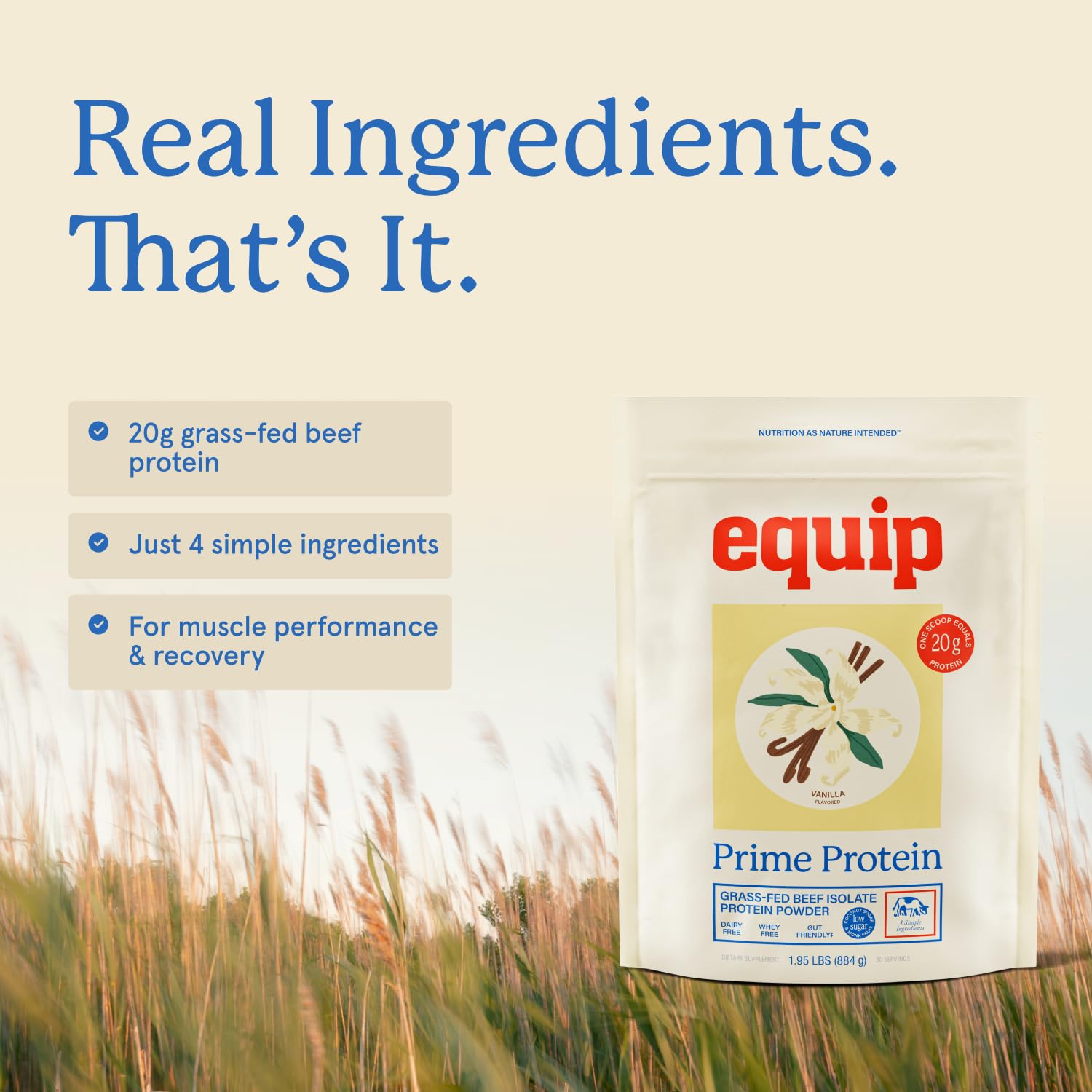 Equip Prime Chocolate Protein Powder - Gut-Friendly, No Sugar Protein Shake Powder with Grass-Fed Beef & Natural Collagen - Rich & Creamy Mix - 21g Per Serving - Whey & Dairy-Free (30 Scoops)