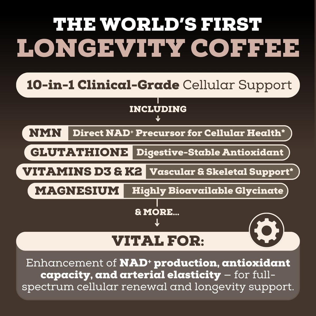 Black Forest Longevity Mix Liquid NAD+ Alternative Mocha Coffee 10-in-1 with NMN 250mg, Glutathione 250mg, TMG, Magnesium Glycinate, Vitamins D3 K2 C B12, High Polyphenol Cocoa, 30 Servings
