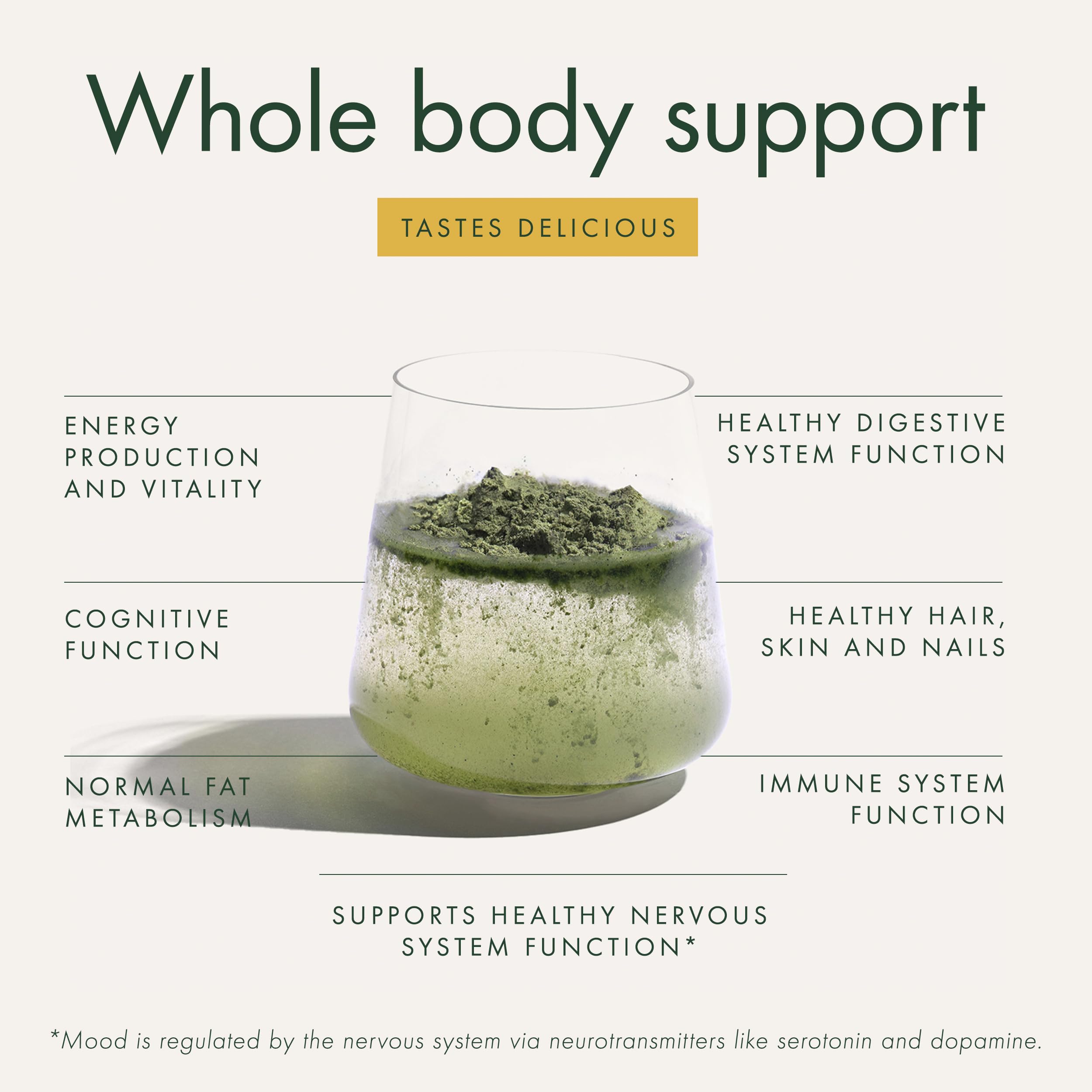WelleCo The Super Elixir Daily Greens Powder, Probiotic Drink Mix with Whole Foods, Gluten Free, Vegan Gut Health Powder, Energy, Immunity, Healthy Skin, Hair & Nails (300g, Lemon Ginger) WelleCo buy supplements Au