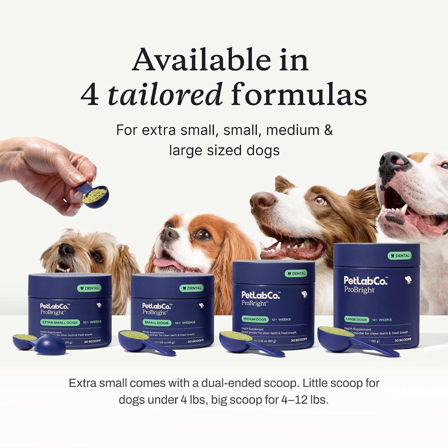 PetLab Co. – Oral Hygiene & Gut Health Bundle: Dental Powder for an Effortless Clean in 1 Scoop for Small Dogs & Probiotics for Dogs Supporting Gut Health & Seasonal Allergies
