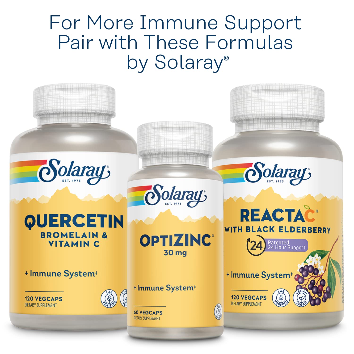SOLARAY L-Lysine Monolaurin Immune Support Supplement, 1:1 Ratio for Immune System Function, 500 mg Each, 30 Servings, 60 VegCaps