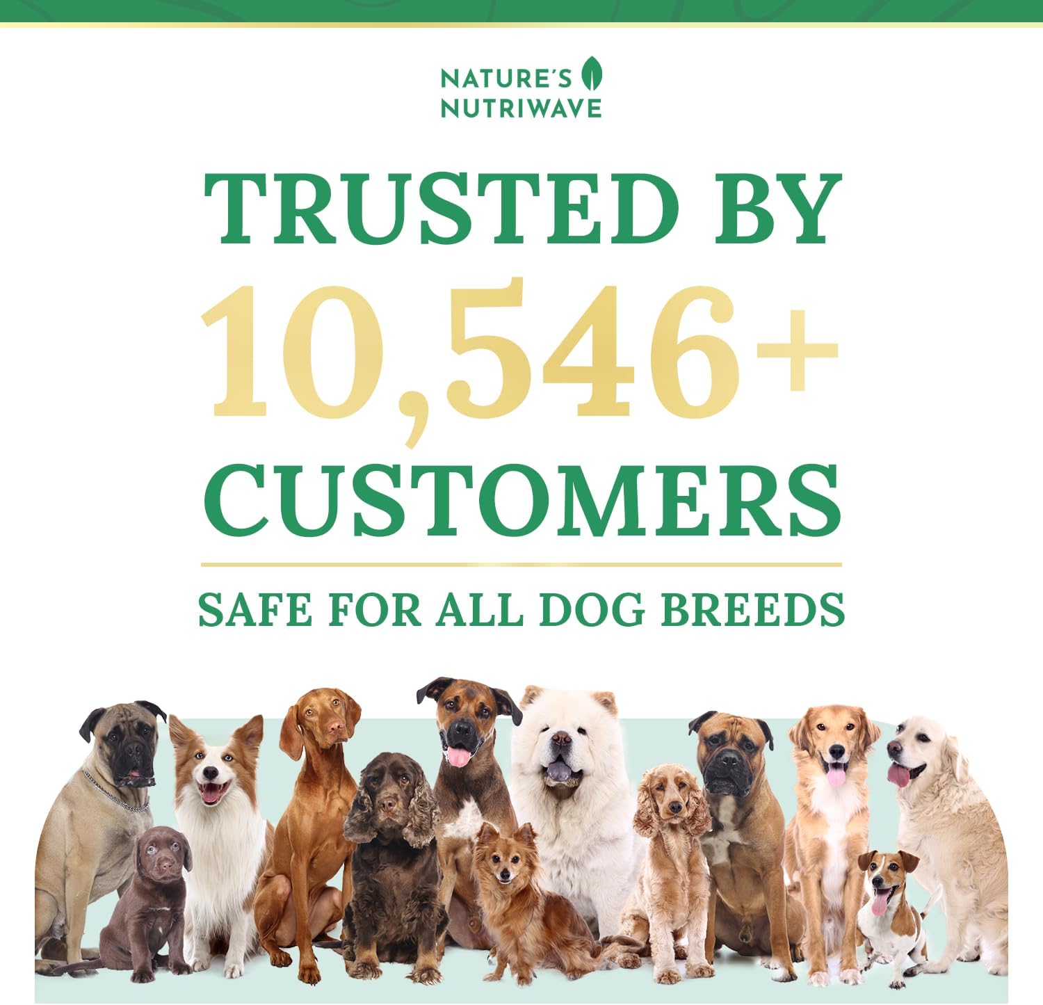 Pawbiotix Liquid Probiotics for Dogs – 1oz, 1 Month Supply | Liquid probiotic drops for dogs, Beacon flavor | Original formula | Add to food or water, easy daily dose