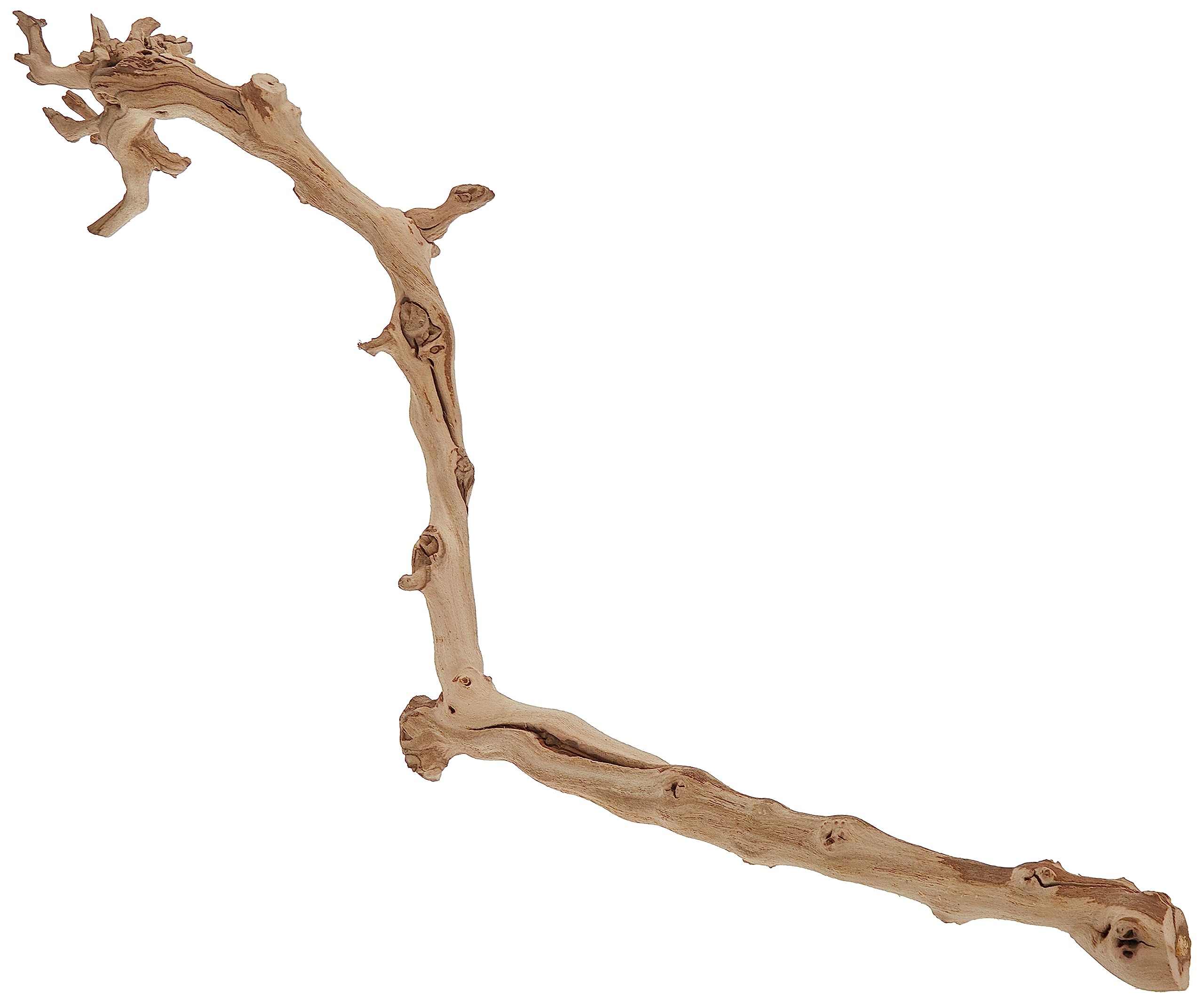 Exo Terra Forest Branch Small - Natural Wood Terrarium Decoration | For Reptiles, Amphibians & Small Pets