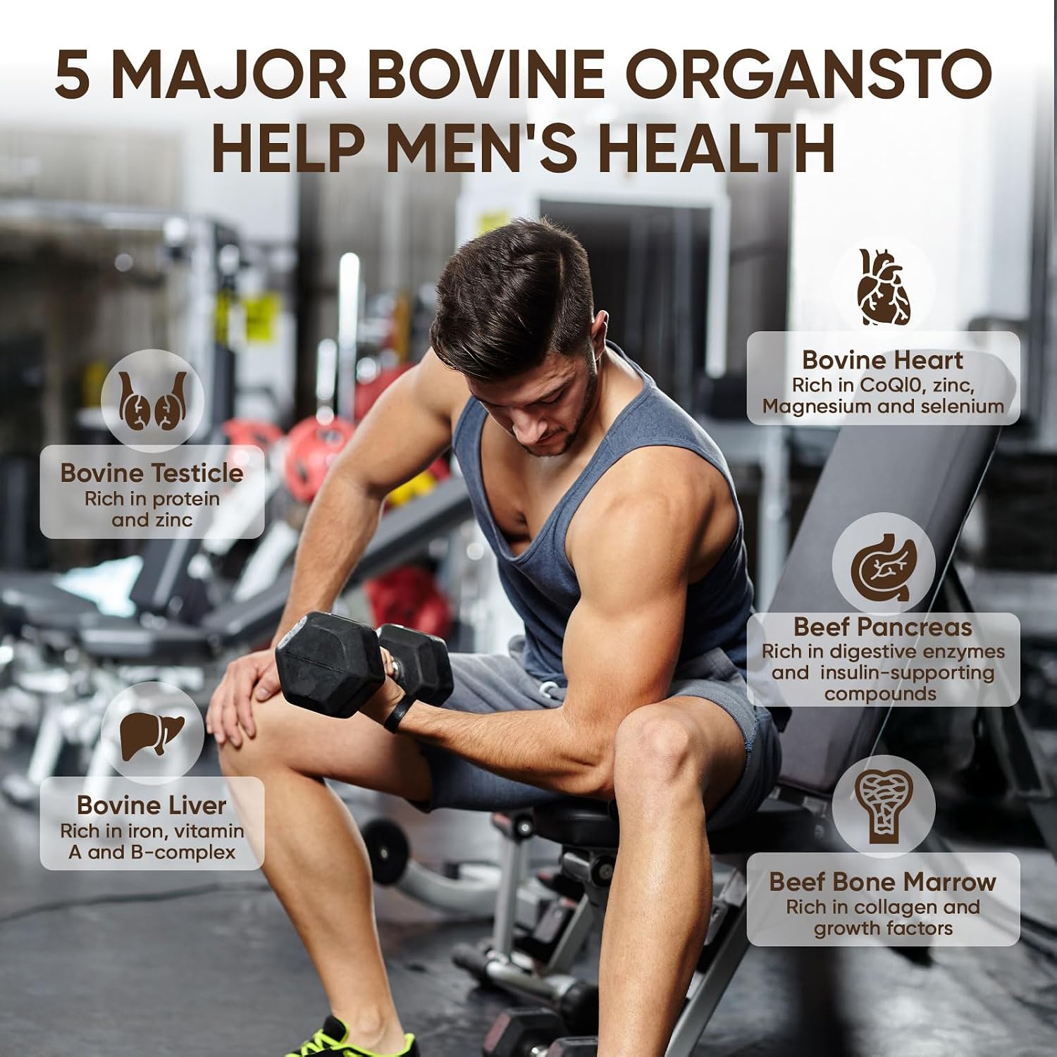 Forge body Beef Organ Complex Capsules, 100% Grass Fed Beef Liver Capsules with Blend of Liver, Heart, Bone Marrow, Pancreas, Total Body Wellness & Performance, Immune Support, Immunity & Men’s Health