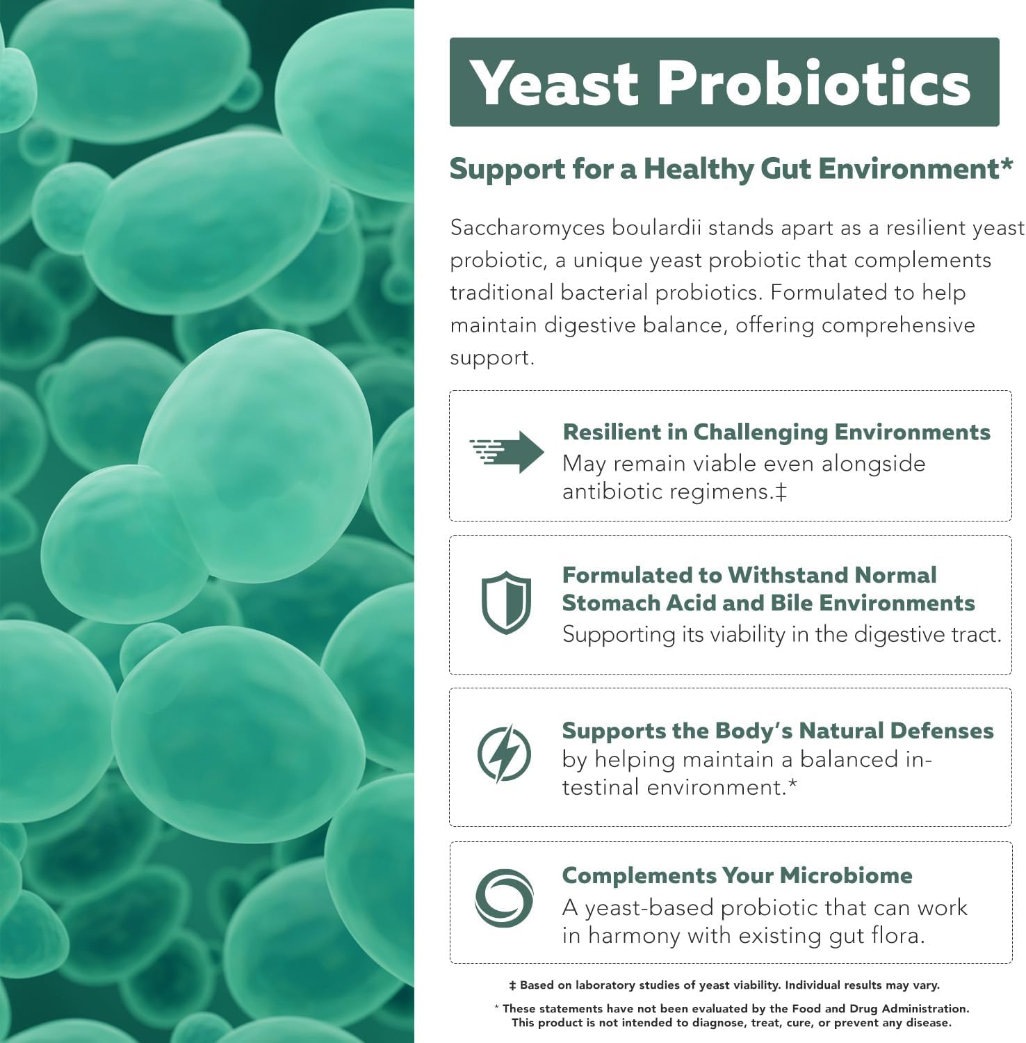 Organic Saccharomyces Boulardii - 10 Billion CFU - Clinically Validated CNCM I-1079 Probiotic Strain - Gut, Digestion & Healthy Bowel Support - First Organic Form of S. Boulardii Probiotic - 60 Count