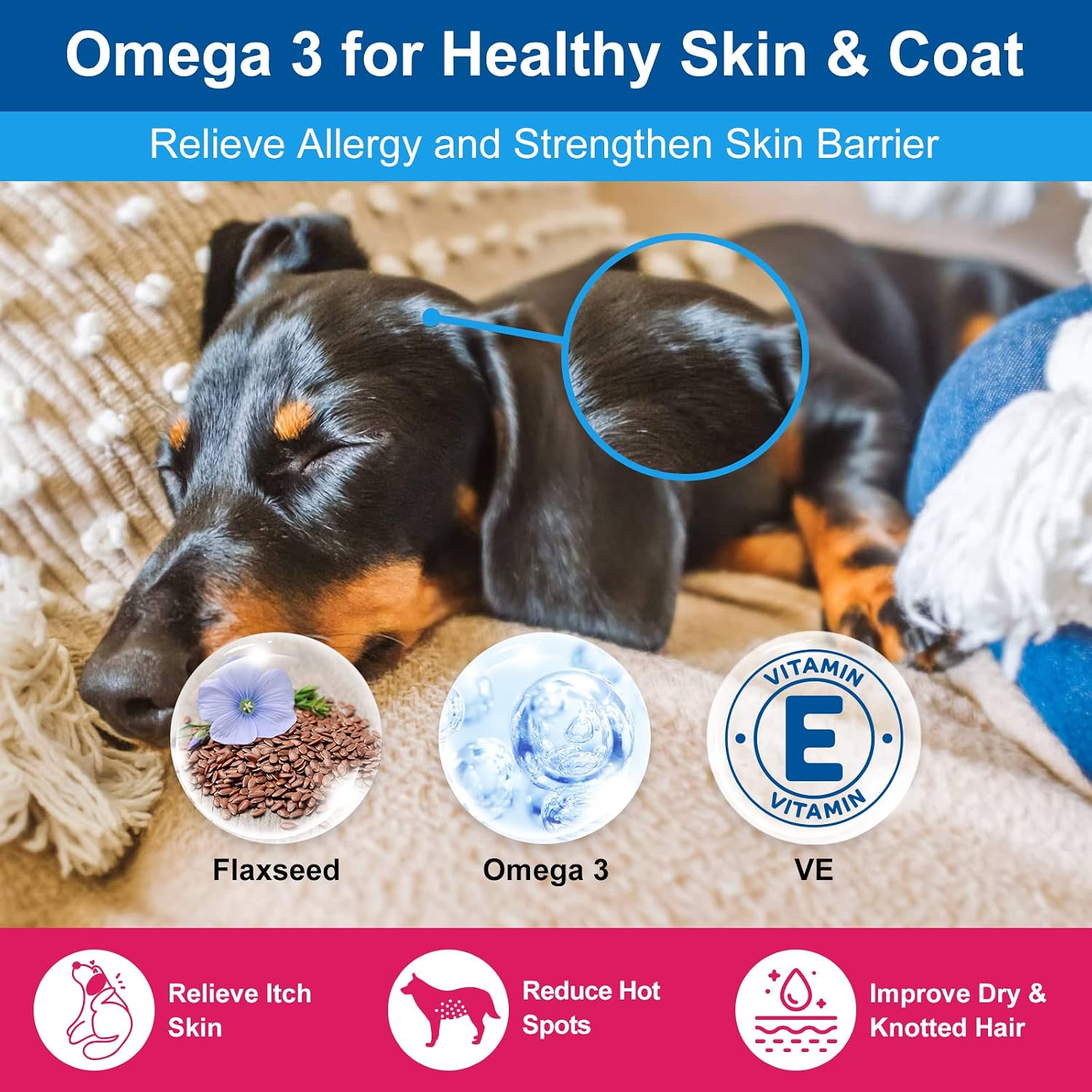 NATURE TARGET Dog Vitamins Powder, Probiotics & Digestive Enzymes for Gut Health, Glucosamine & Chondroitin & Omega 3, Complete Supplement for Homemade Dog Food, Joint & Skin & Immune Support | Probiotics & Digestive Enzymes for Gut Health, Glucosamine &