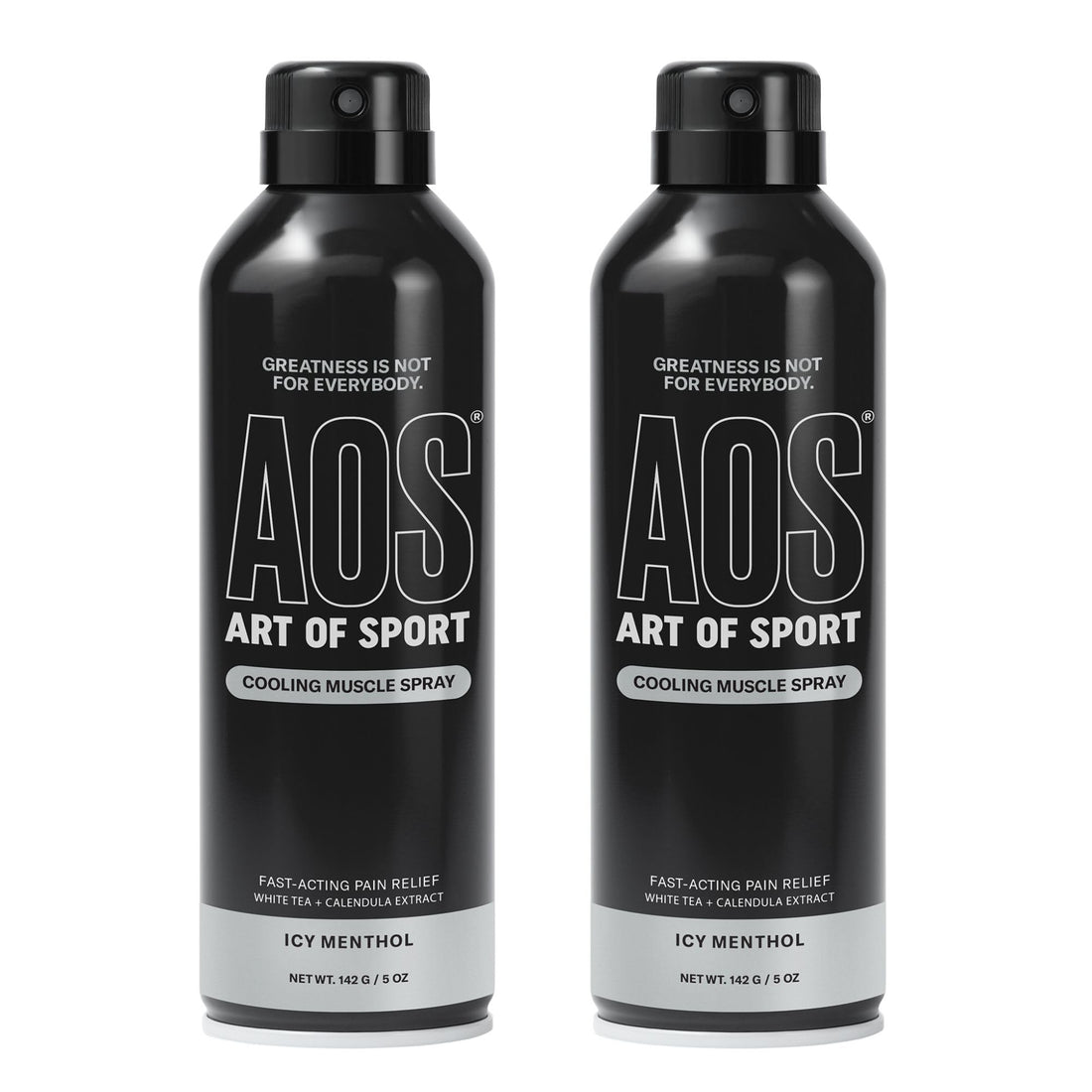 Art of Sport Muscle Relief Spray for Men – Cooling Menthol Pain Relief for Sore Muscles & Joints – Back, Neck, Knee, Shoulder, Hip – Fast-Acting Body Spray – Made for Athletes – 5 fl oz (2-Pack) Art of SportBuy Supplements Australia