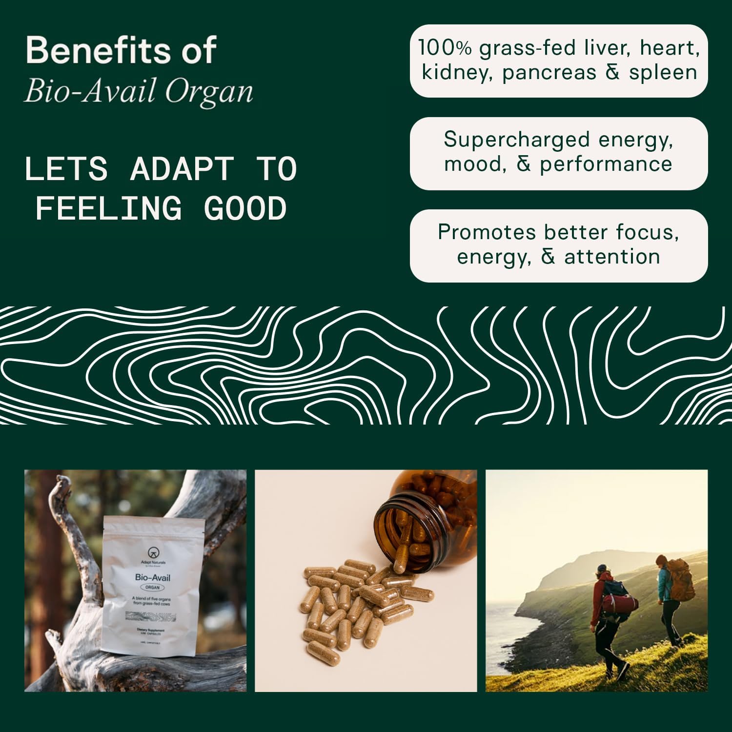 Adapt Naturals Beef Organ Supplement, Bioavailable Grass Fed Organ Capsules | Blend of Beef Liver, Heart, Kidney, Pancreas, Spleen, Supports Liver Cleanse Detox & Repair, Source of CoQ10 - 30 Days Supply