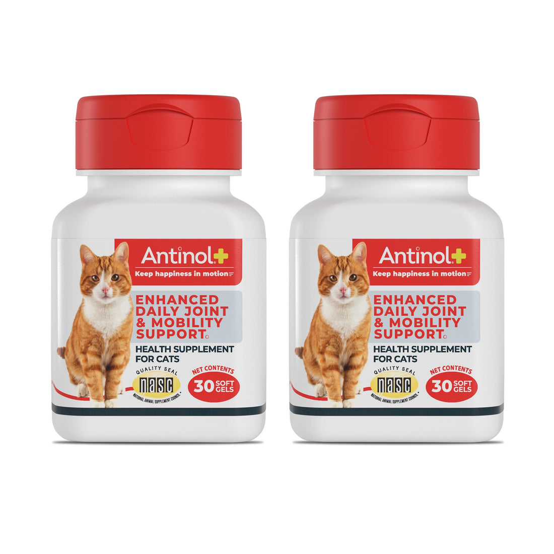 Antinol Plus, Mobility, Hip, and Joint Supplement for Cats, Green-Lipped Mussels and Krill Oil - Cat Joint Supplement, 60 Soft Gels AntinolBuy Supplements Australia