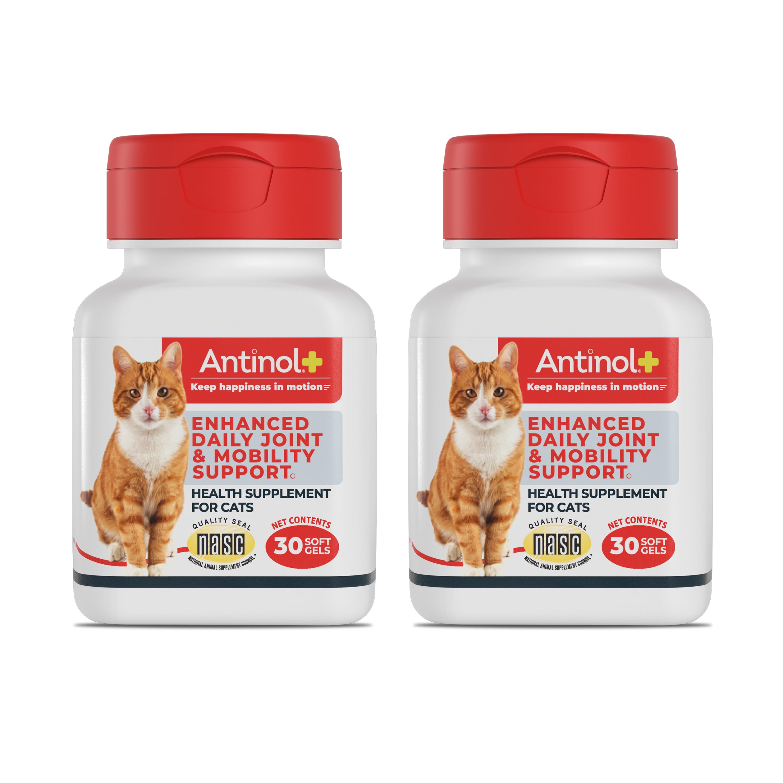 Antinol Plus, Mobility, Hip, and Joint Supplement for Cats, Green-Lipped Mussels and Krill Oil - Cat Joint Supplement, 60 Soft Gels AntinolBuy Supplements Australia