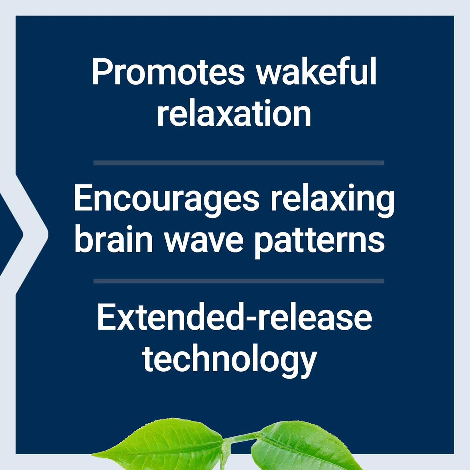 Life Extension Theanine XR™ Stress Relief – L-Theanine – Promotes a Calm Response to Daytime Stress – Non-GMO, Gluten-Free, Vegetarian – 30 Tablets