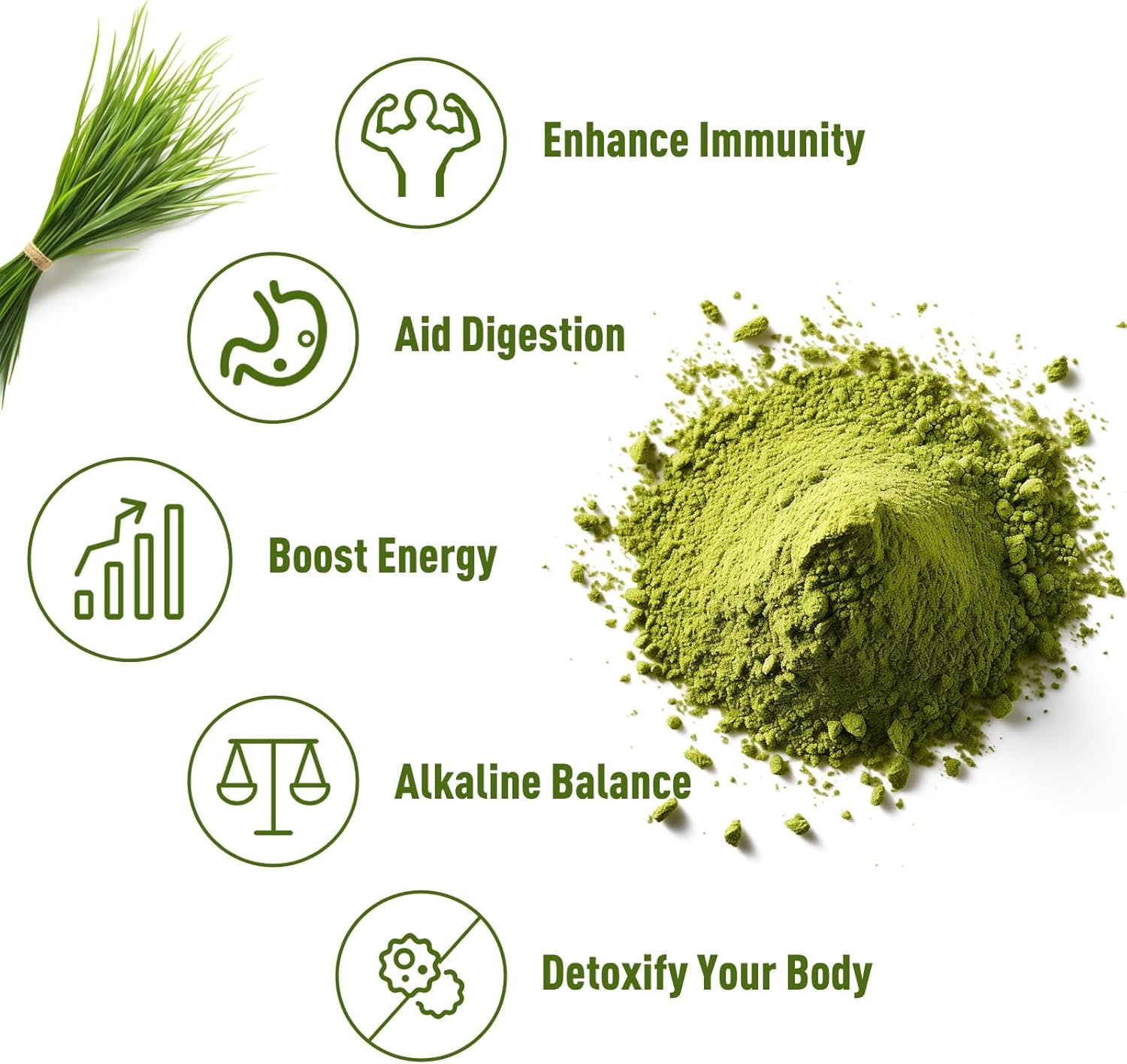 Unleash’d Organic Wheatgrass Powder 16 oz – 100% Pure Superfood, Rich in Vitamins, Fiber & Minerals for Immune Support & Wellness